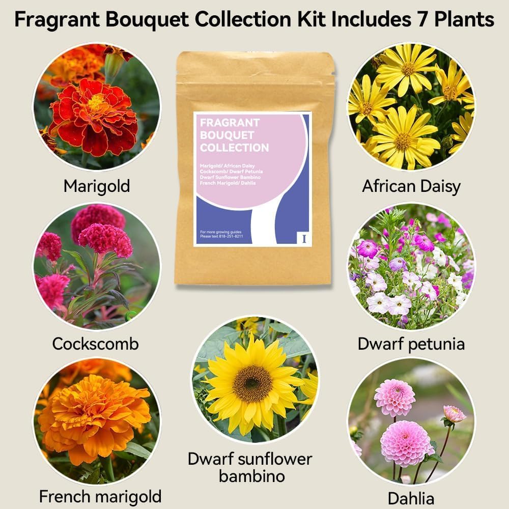 inbloom Fragrant Bouquet Seed Pod Kit for AeroGarden, iDoo, Ahopegarden, GARDENCUBE, 12 Pods (350+ Flower Seeds with