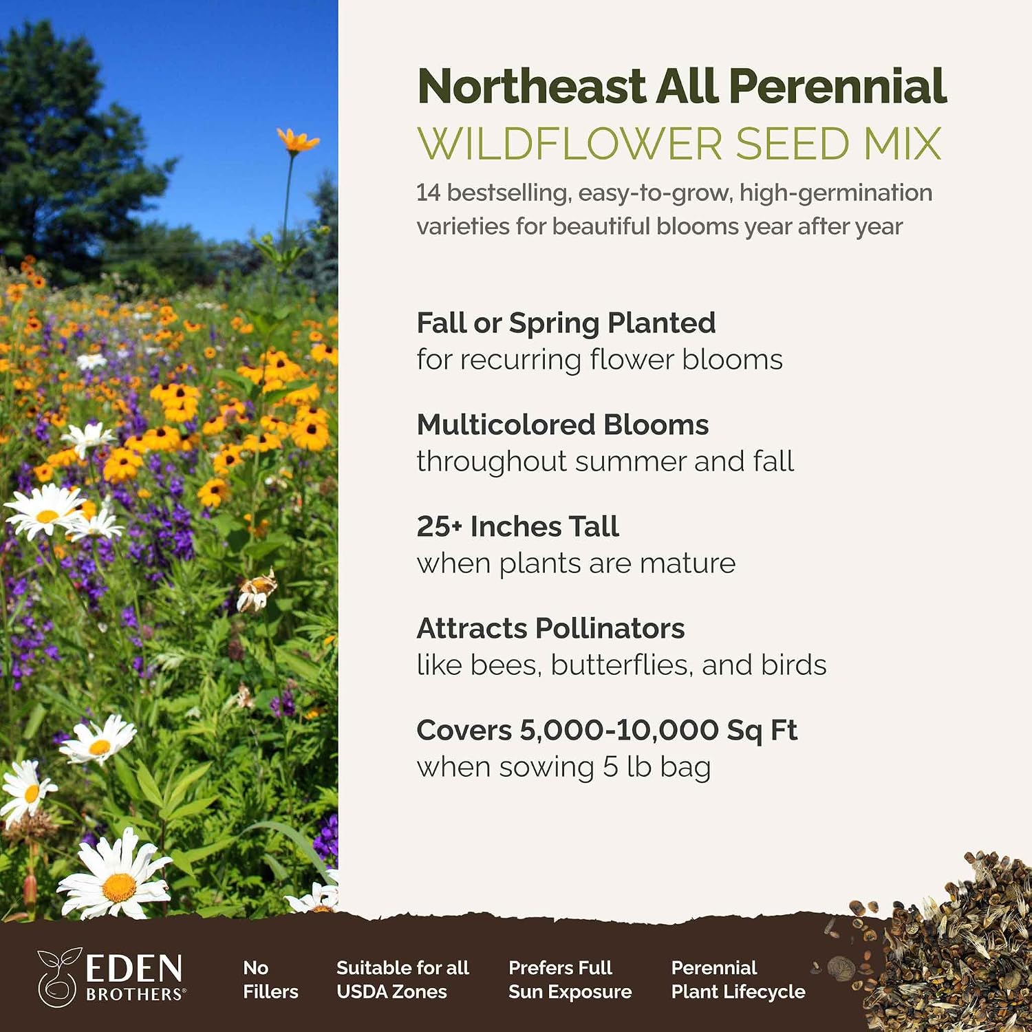 Eden Brothers Northeast All Perennial Wildflower Mixed Seeds, 5 lb | Mixed Seeds for Planting, 2,400,000+ Seeds with