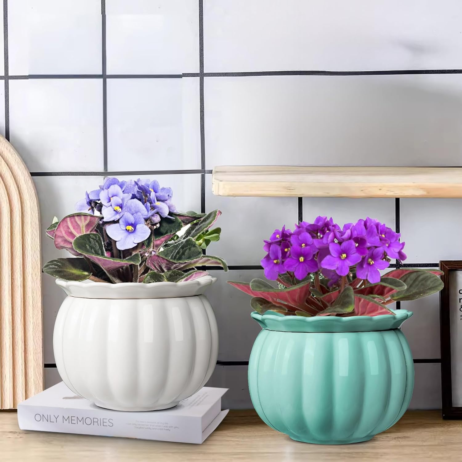 BUYMAX 6 Inch Self Watering Ceramic African Violet Pot Indoor Plant Pot | Pumpkin Style Design | Automatic Water