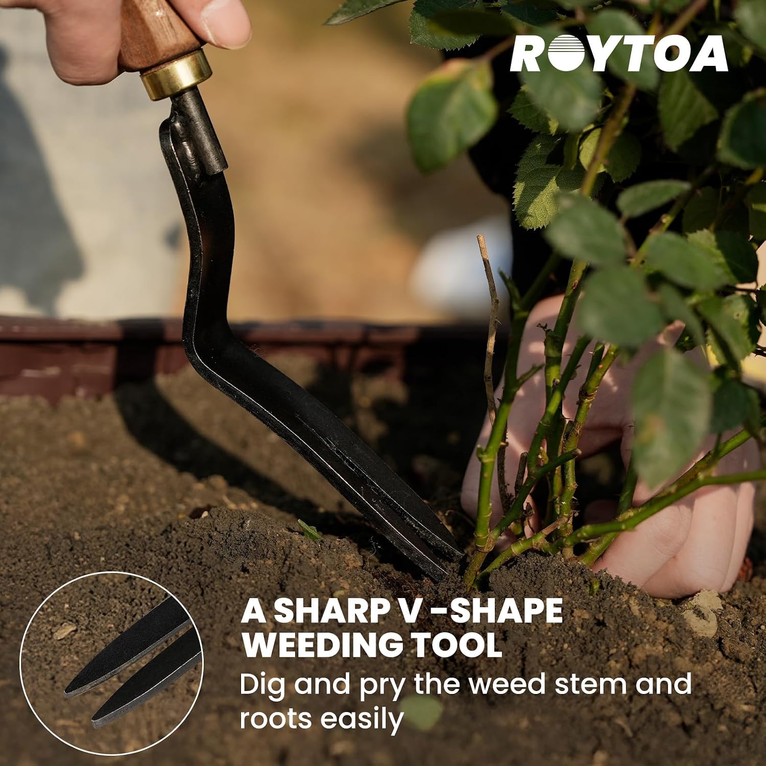 ROYTOA Garden Tool Set, 5PCS Gardening Tools, Stainless Steel Heavy Duty Hand Cultivator, Hoes, Shovel, Trowel and
