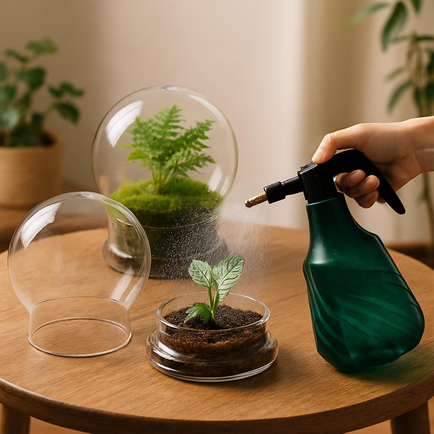 2 Pack Round Glass Cloche Domes with Air Hole and Base, 4.6 X 6.6 Inches Clear Terrarium Planter, Cloche Planters