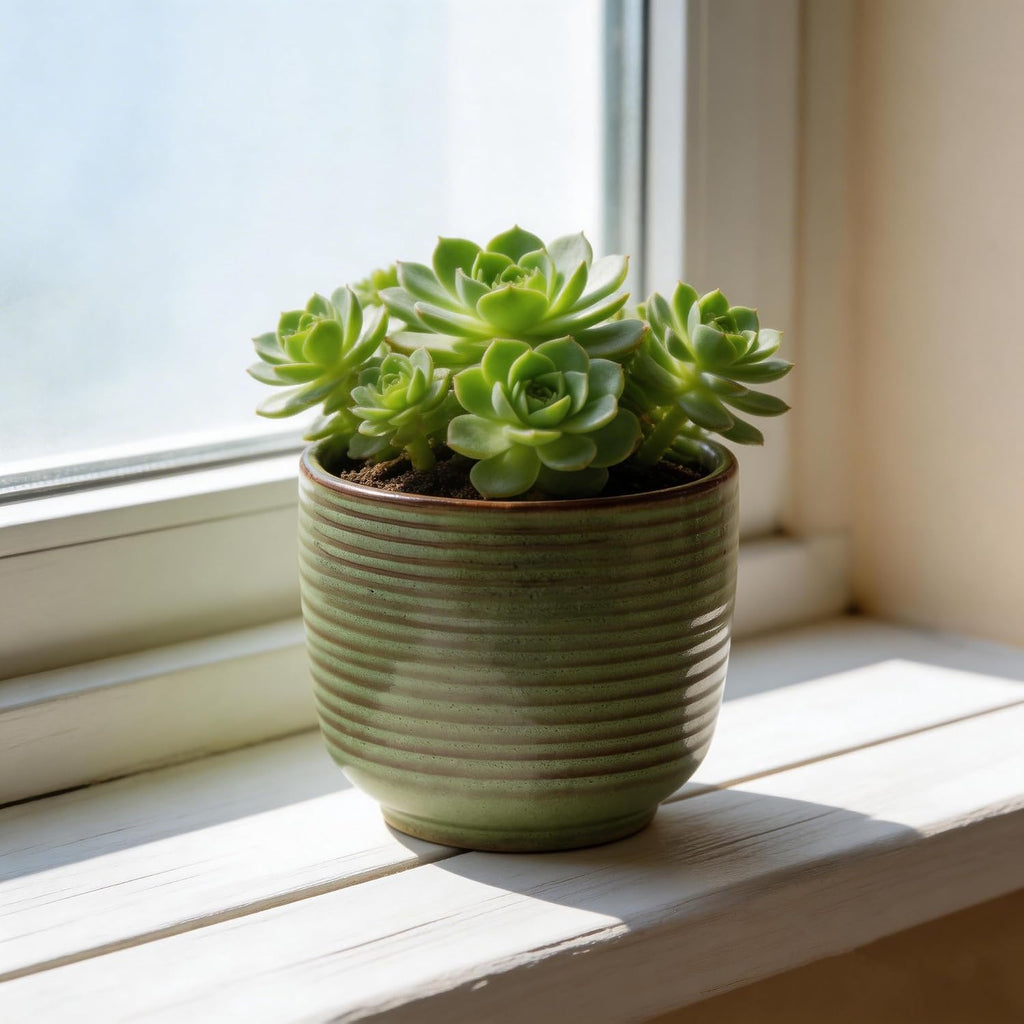 Ceramic Plant Pot, 5.12 Inch Small Planter with Unique Glaze, Home Decor Indoor Outdoor Flower Pot for Succulents