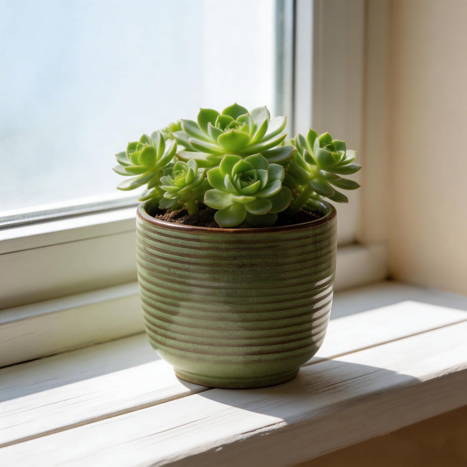 Ceramic Plant Pot, 5.12 Inch Small Planter with Unique Glaze, Home Decor Indoor Outdoor Flower Pot for Succulents