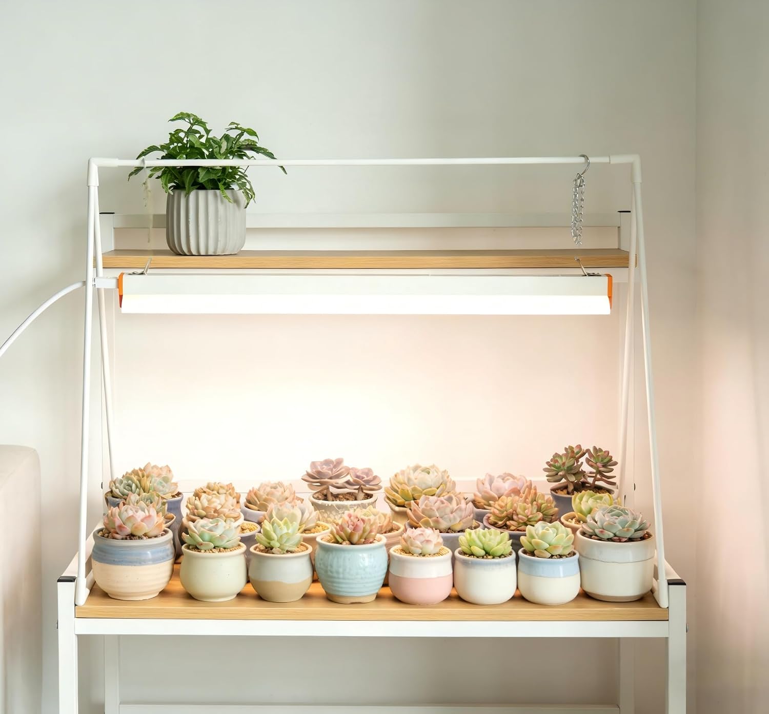 10W Grow Light Stand Kit for Indoor Plants, 2ft Plant Grow Rack with Full Spectrum, Enhanced Red Light for Flowering