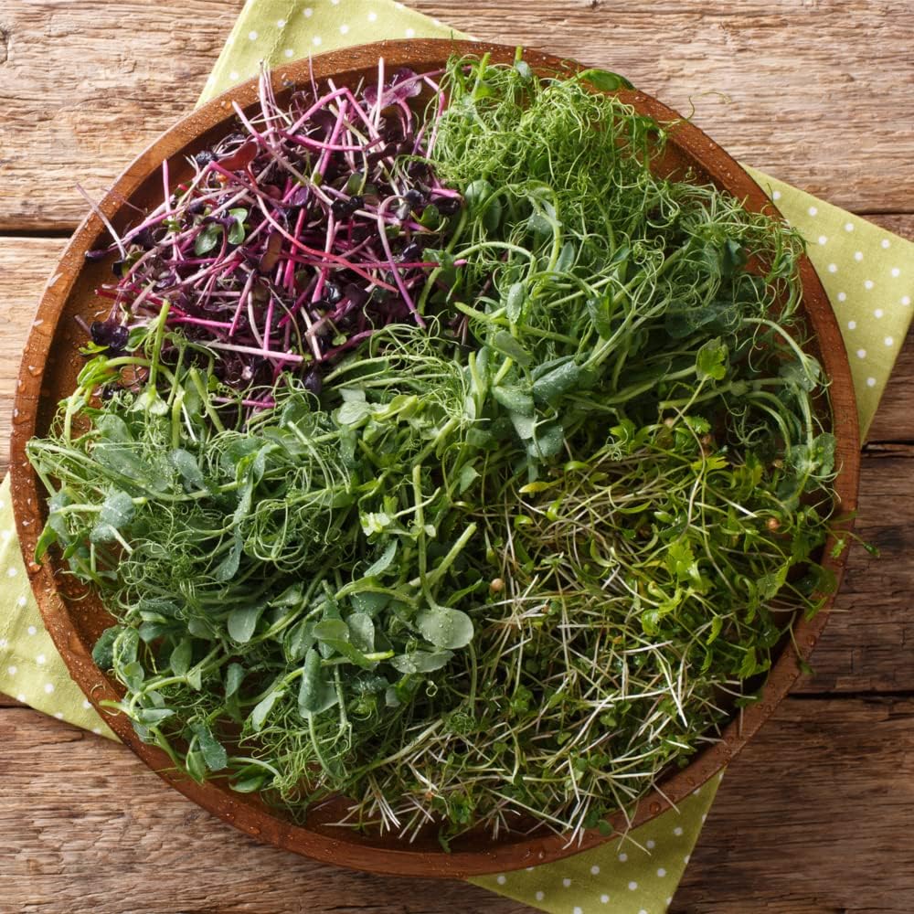 Microgreens Variety Pack (10 Varieties, 2 LBS+, Cabbage, Broccoli, Beet, Radish, Kale, Collard, Mustard, Arugula