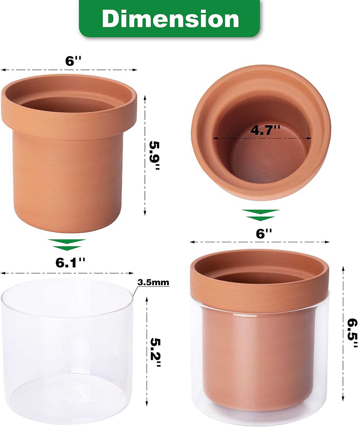 Phoenix Vine 6 Inch Self Watering Planter Pot, Terracotta Clay Pot with Glass Reservoir for Indoor Plants, Herbs
