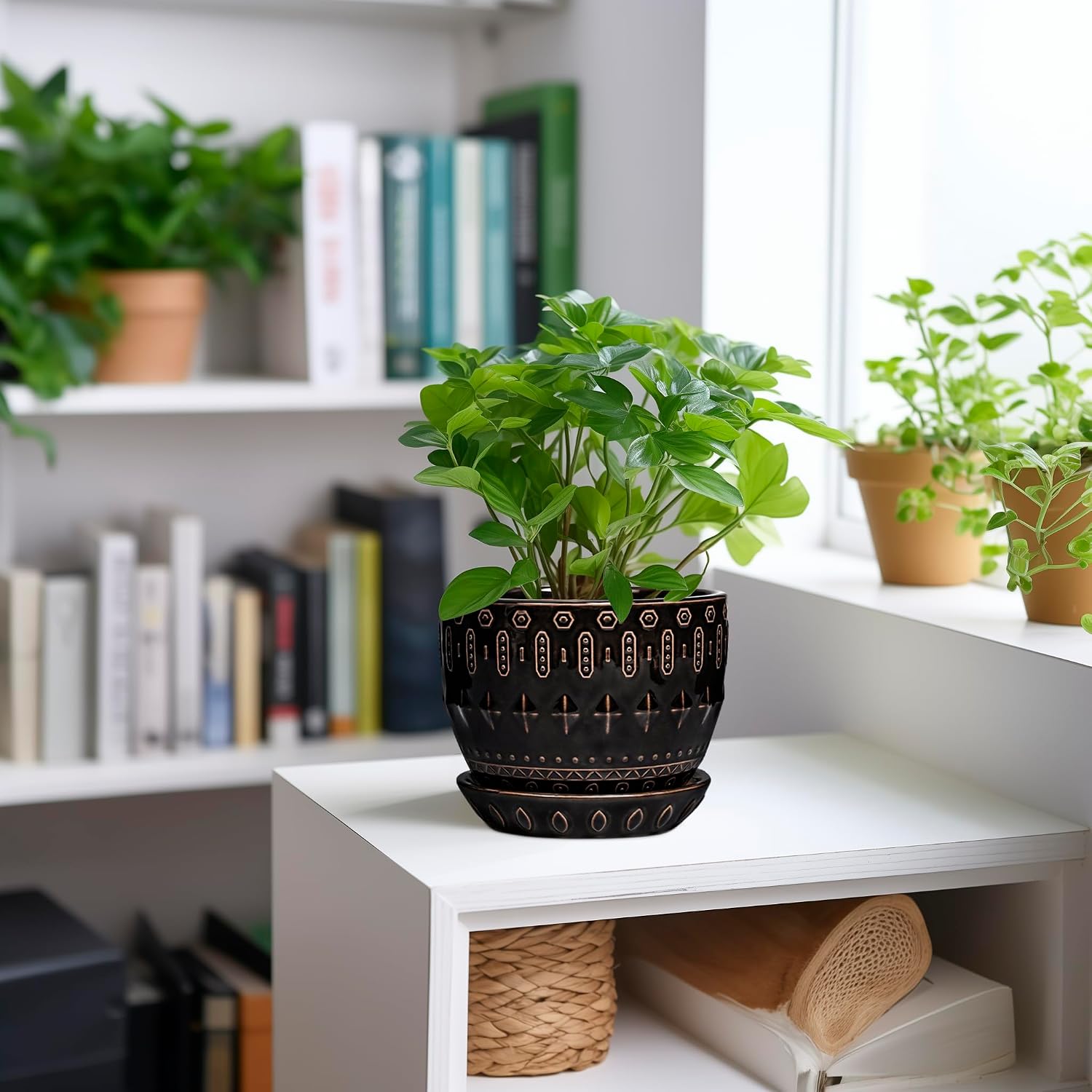 G EPGardening Ceramic Pot for Plants 5.5 Inch - Ceramic Plant Pot Indoor with Drainage Hole and Saucer, Round Boho