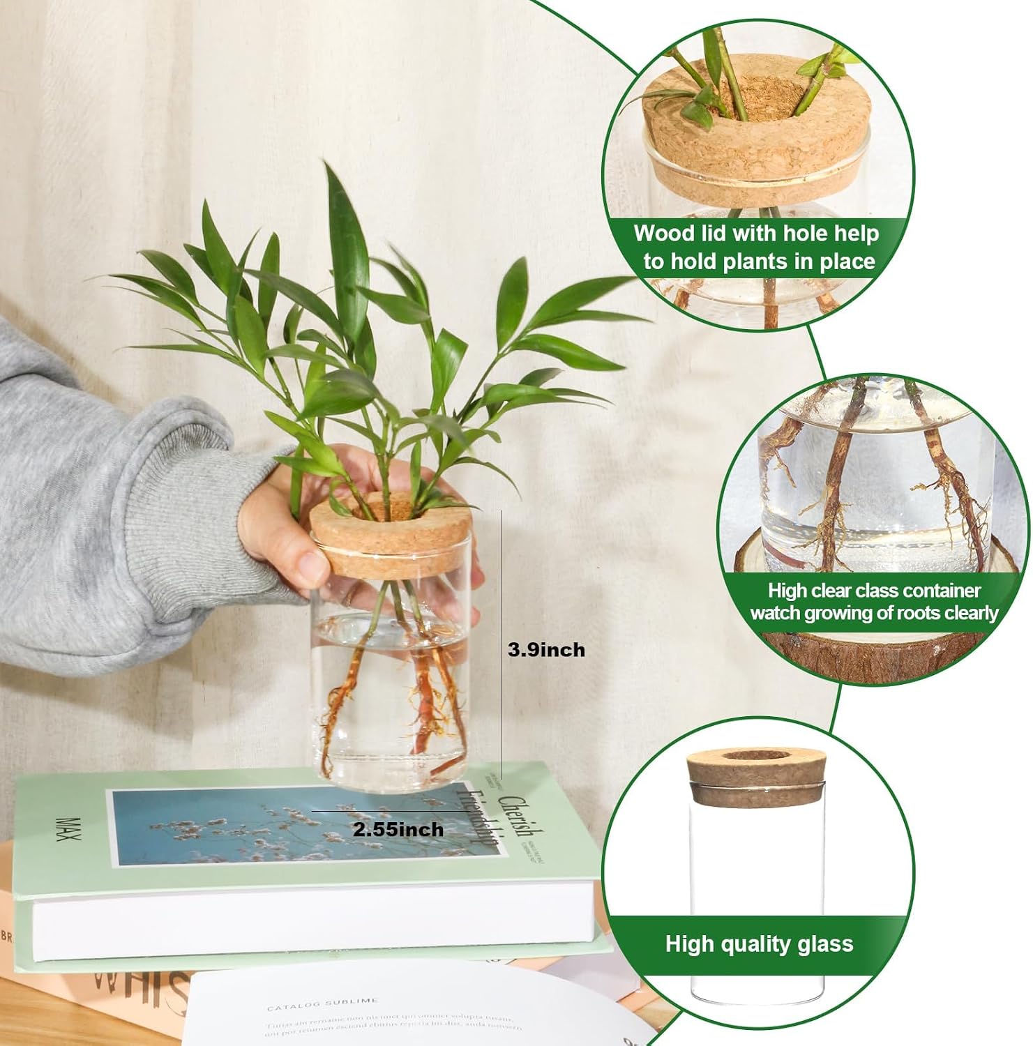 Separated Desktop Glass Flower Vases with Wooden Saucers - Ideal Plants Propagation Stations for Living Room, Bedroom