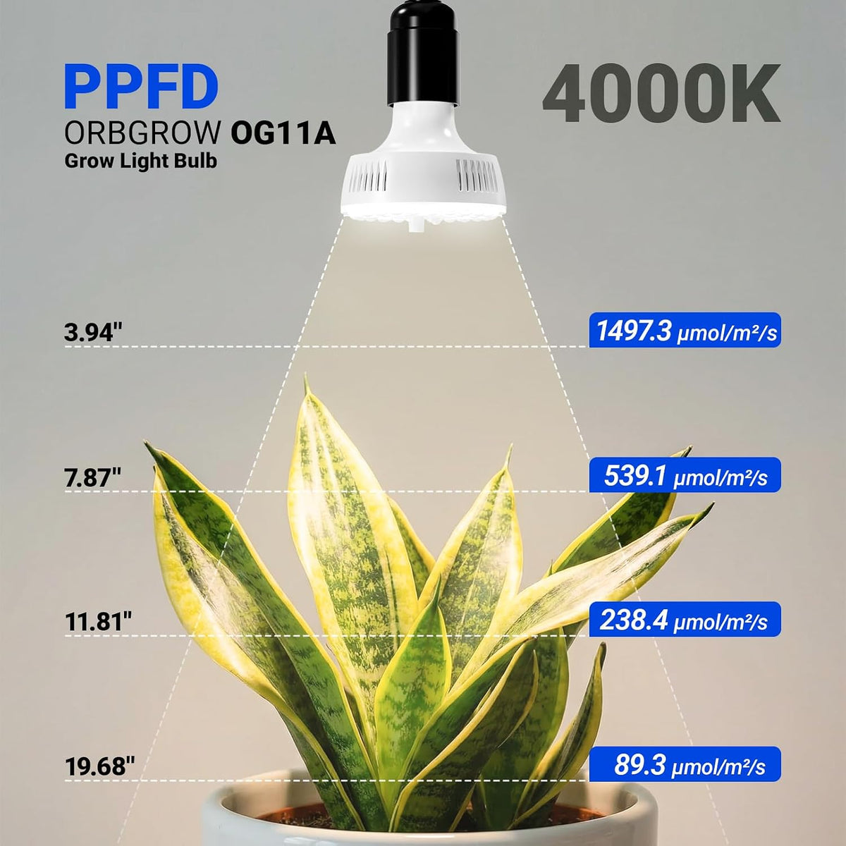 Barrina OG11A2 Clip On Grow Light for Indoor Plants, 4000K 22W(2 x 11W) | Integrated Stepless Dimming & Timing, Full