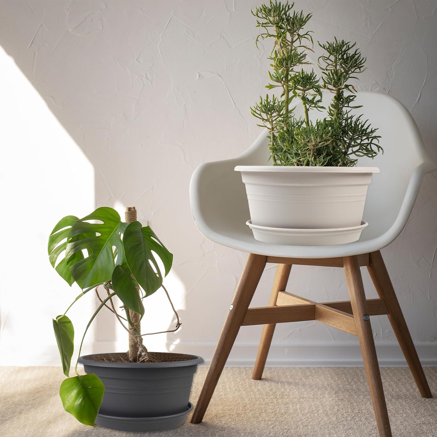 6 Pack 10 inch Plant Pot, Shallow Planters with Drainage Hole & Tray Saucer | Round Outdoor Pots for Plants, Decoration