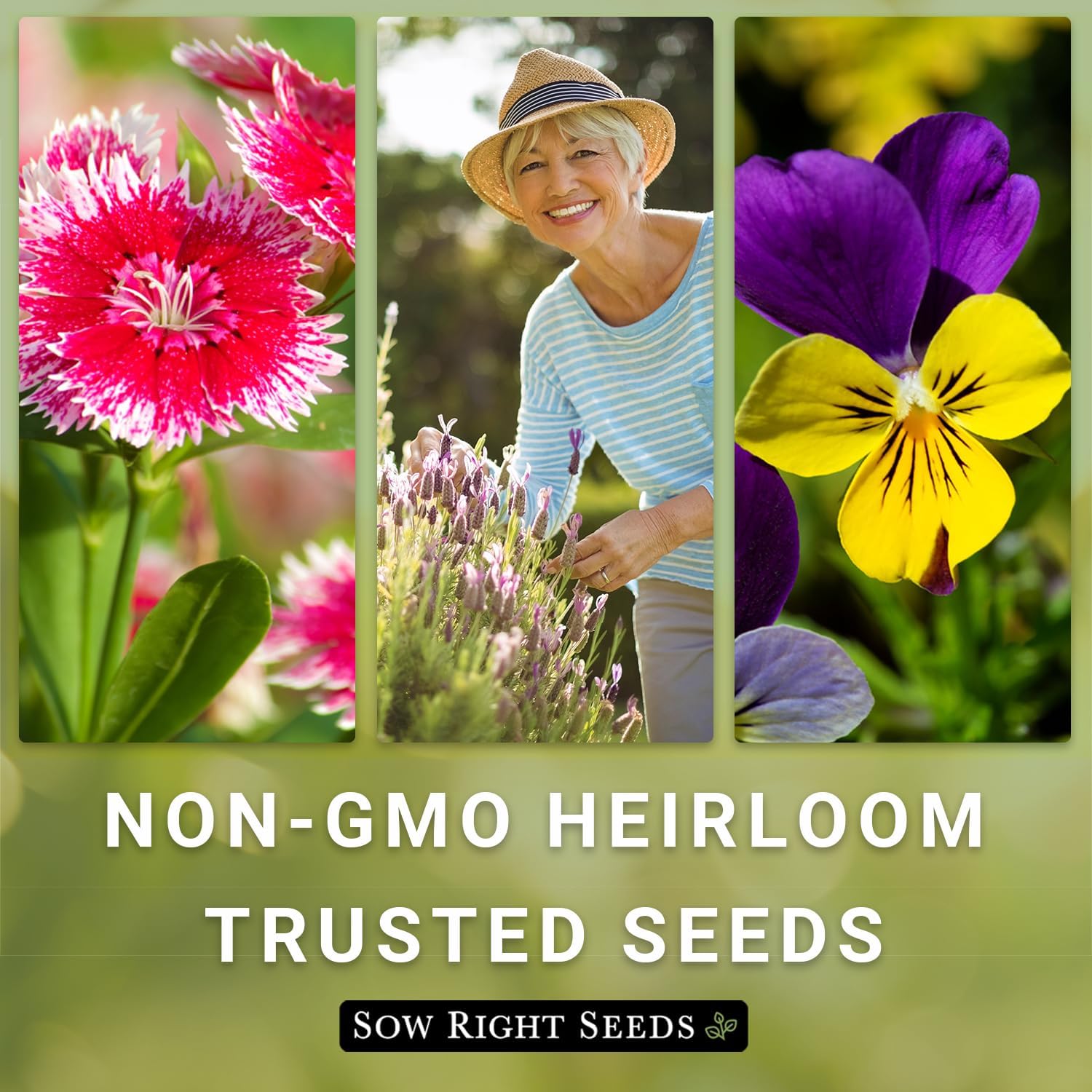 Sow Right Seeds - Large Flower Farm Seed Collection for Planting Garden | Includes zinnia, sunflower, lavender, and