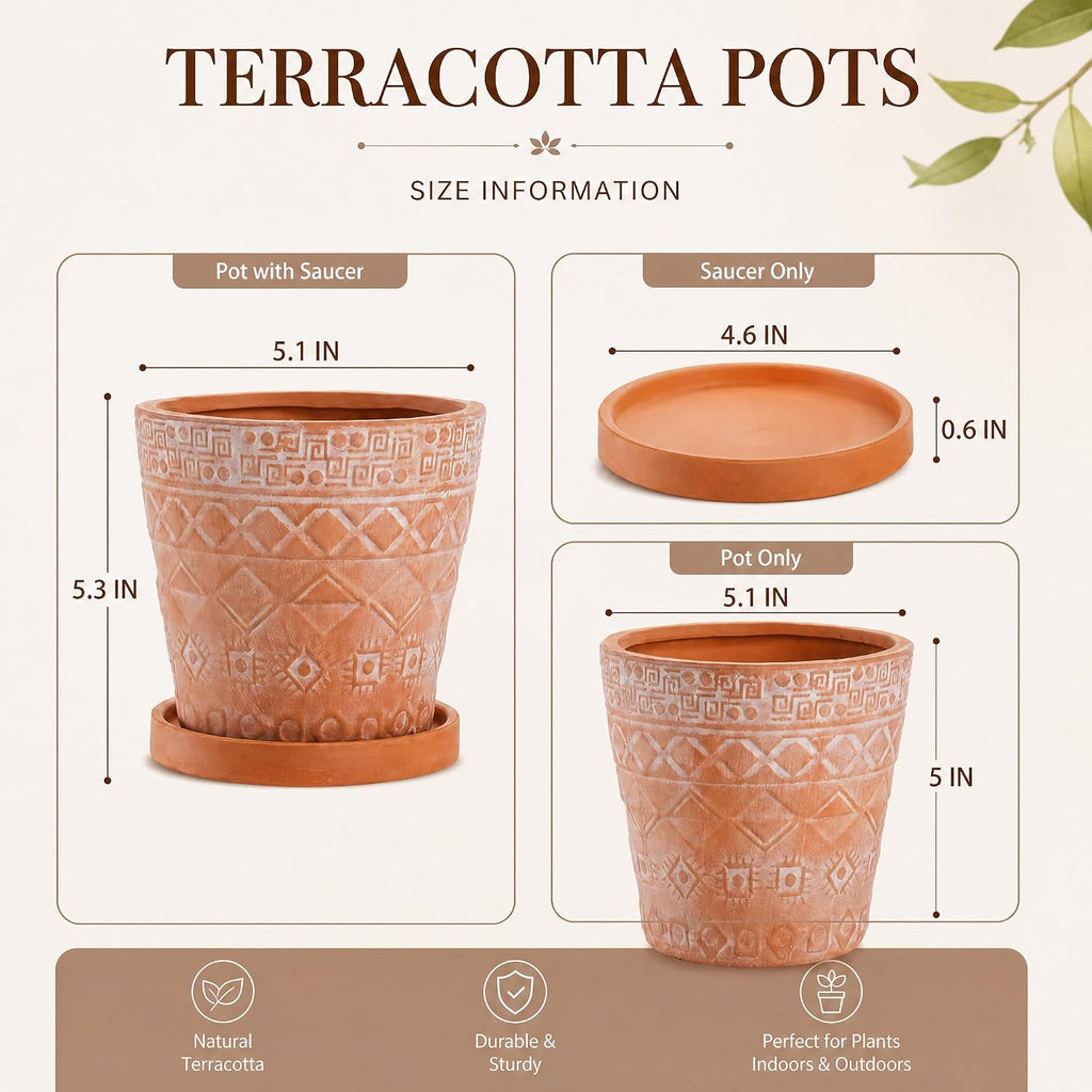 Cedilis 2 Pack Terracotta Pots, 5 Inch Red Clay Planter Pots with Drainage and Saucers, Ceramic Pottery Succulent