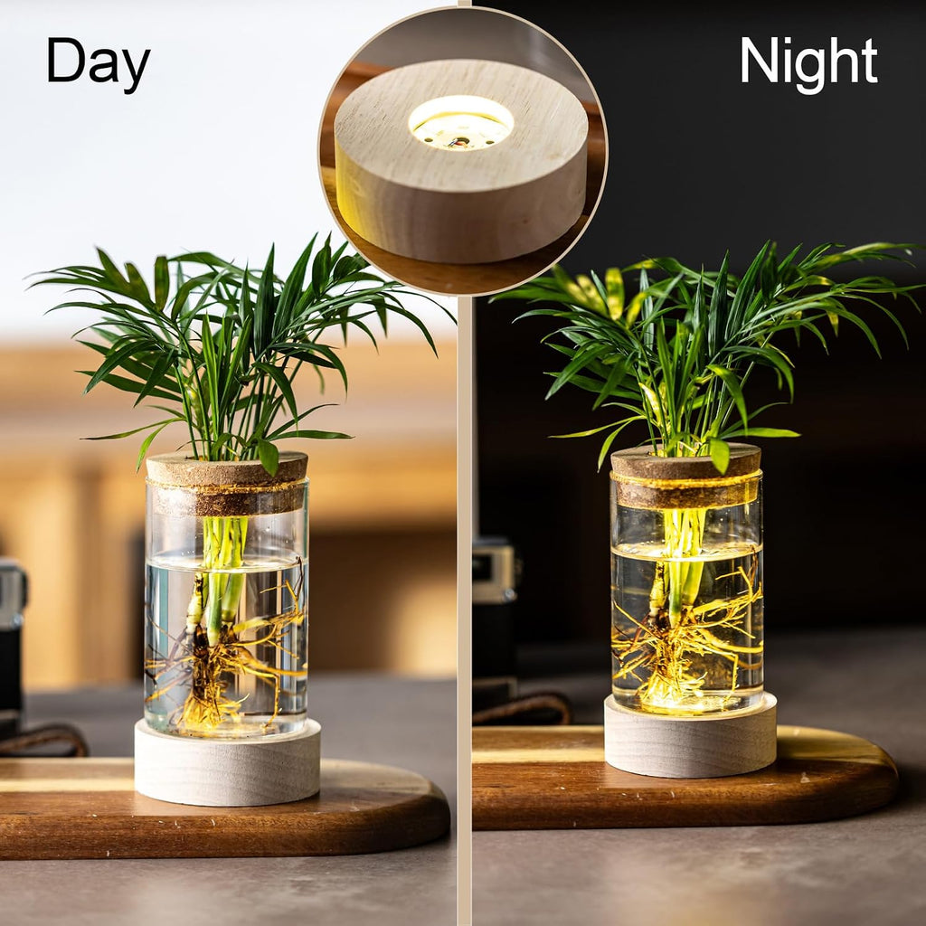 Glass Plant Propagation Stations, Propagation Vases for Plants with Ambient Light Base, Hydroponic Vase for Home &