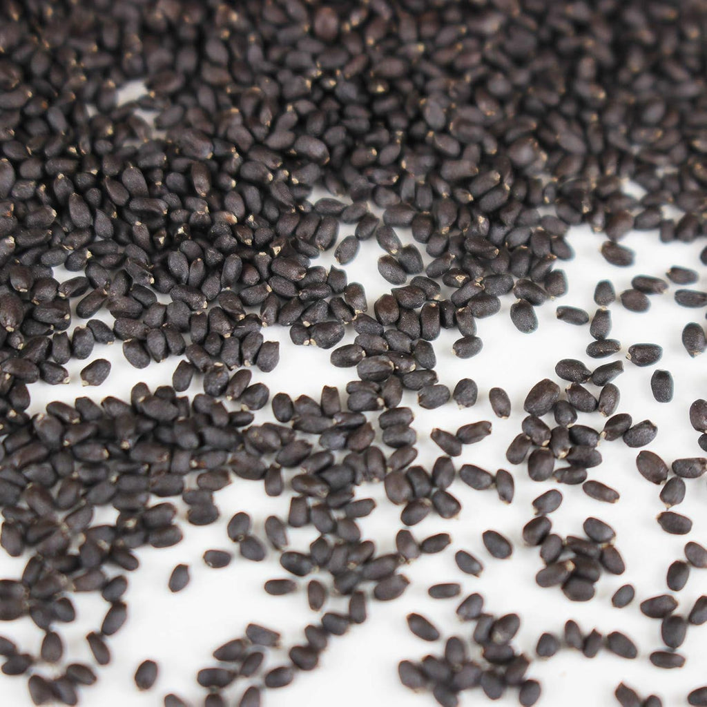 Mountain Valley Seed Co Genovese Basil Microgreens Seed 1 Lb 256,000‬ Seeds | Non-GMO Bulk Seed for Growing Micro