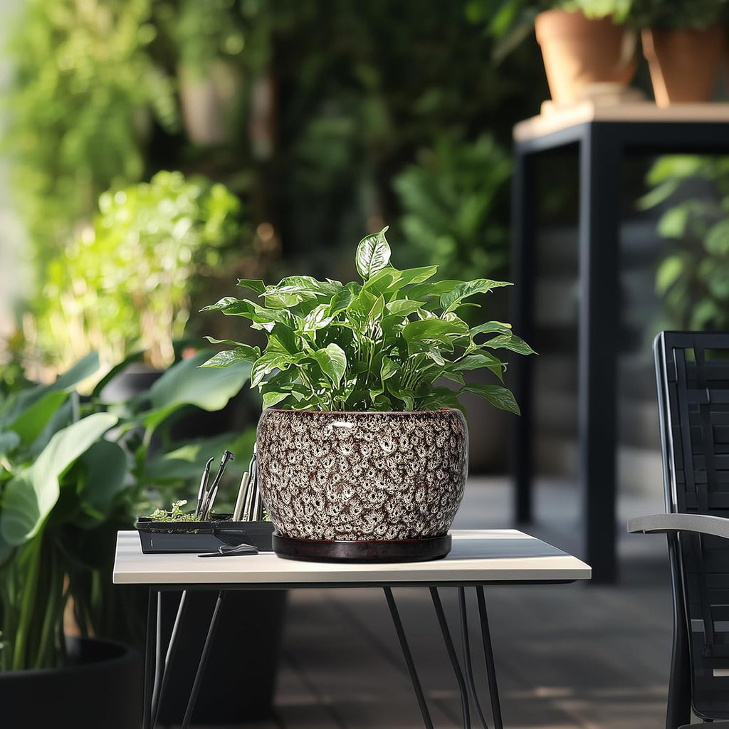 SQOWL Ceramic Planter - 8 inch Plant Pot Indoor with Drainage Hole and Plant Saucer, Round Ceramic Flower Pots Outdoor