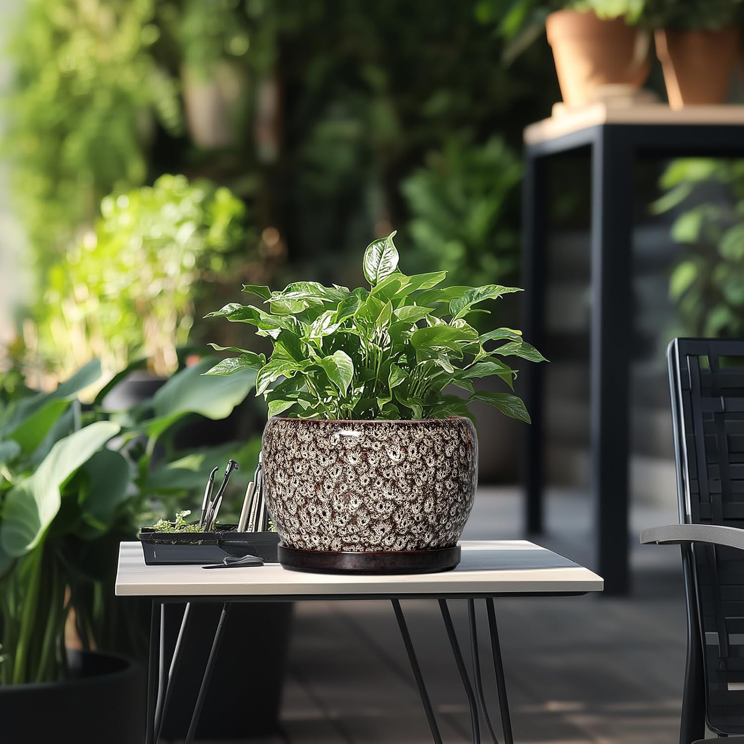 SQOWL Ceramic Planter - 8 inch Plant Pot Indoor with Drainage Hole and Plant Saucer, Round Ceramic Flower Pots Outdoor