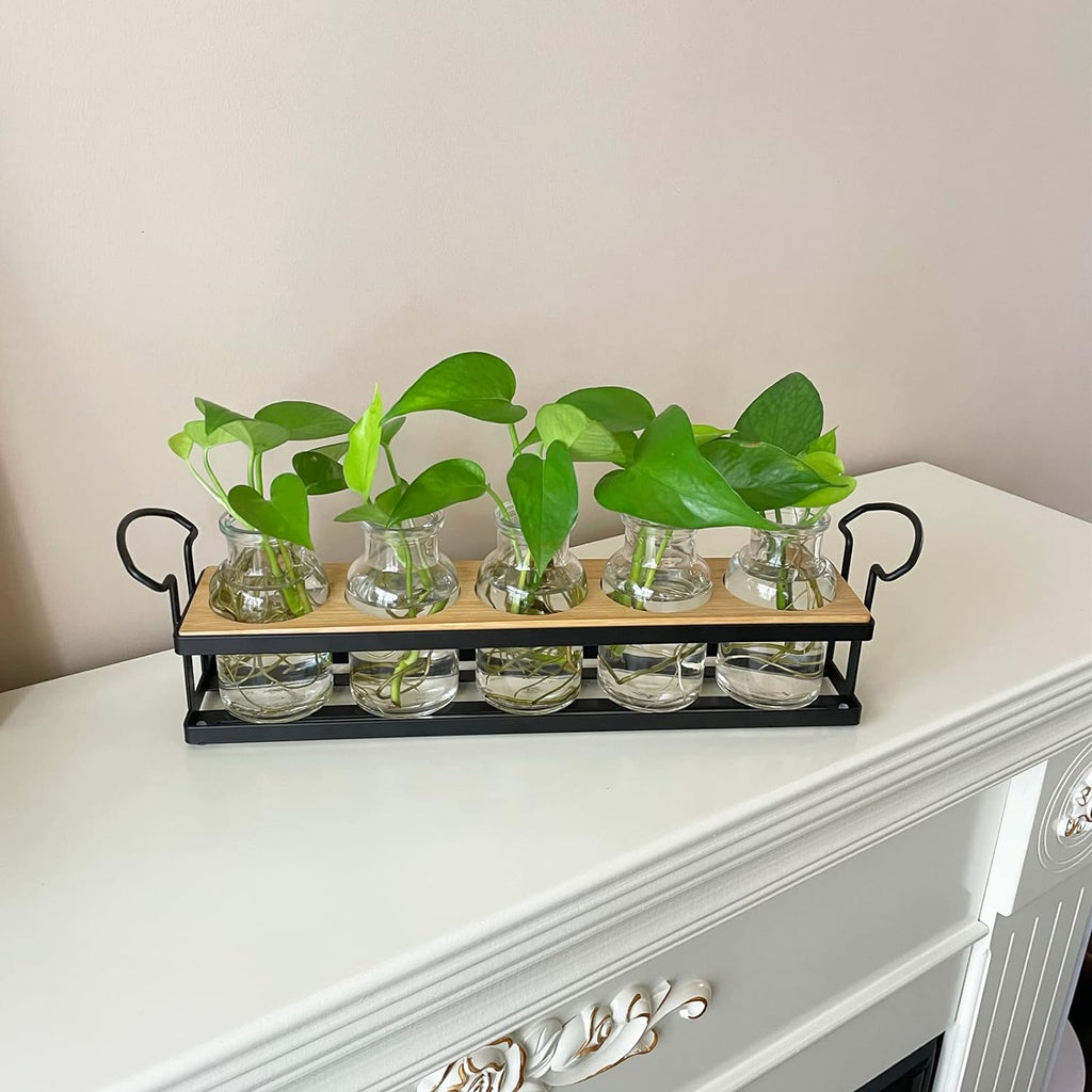Plant Propagation Station with 5 Glass Jars, Retro Hydroponic Planter Vase | Propagation Jars with Metal Stand, Desktop