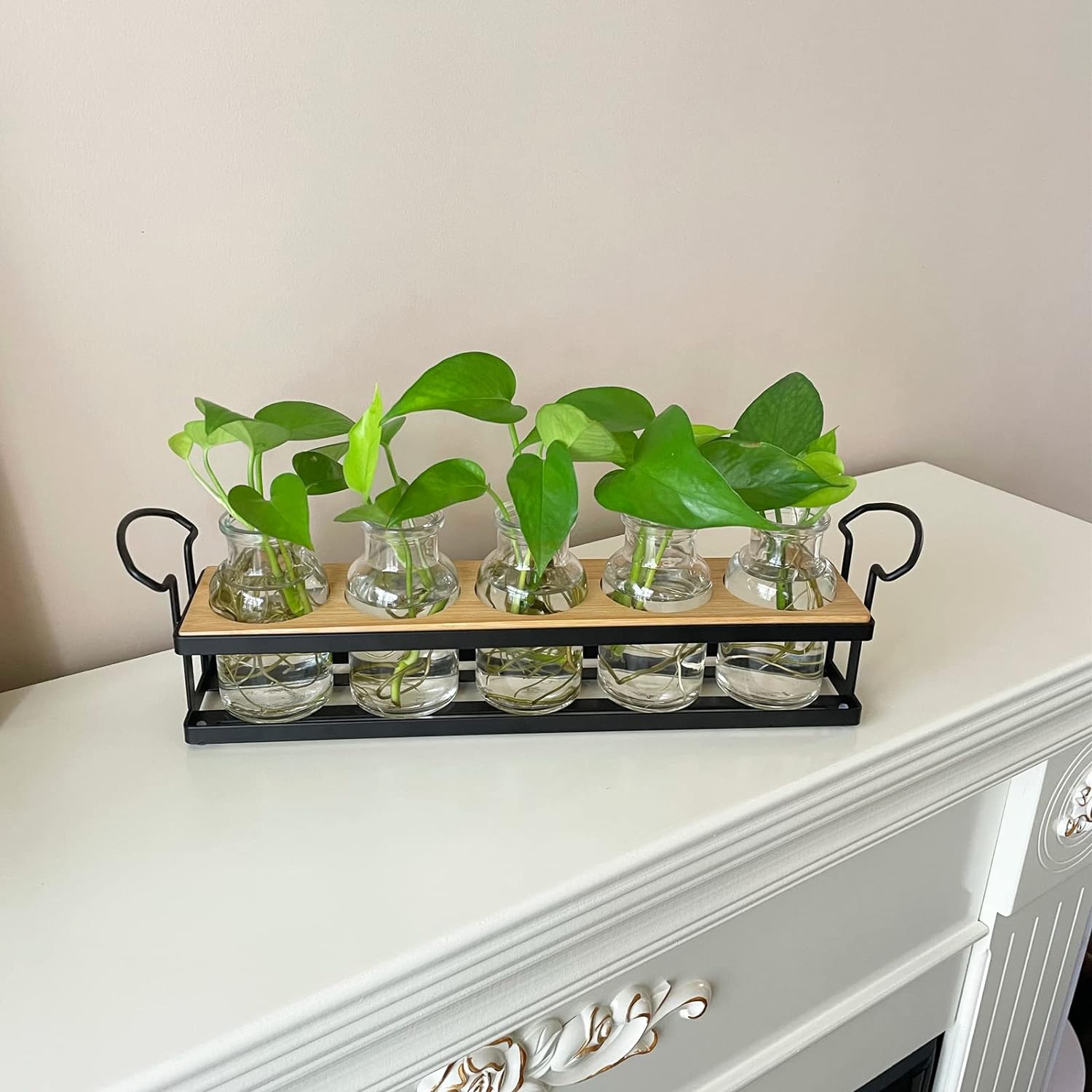 Plant Propagation Station with 5 Glass Jars, Retro Hydroponic Planter Vase | Propagation Jars with Metal Stand, Desktop