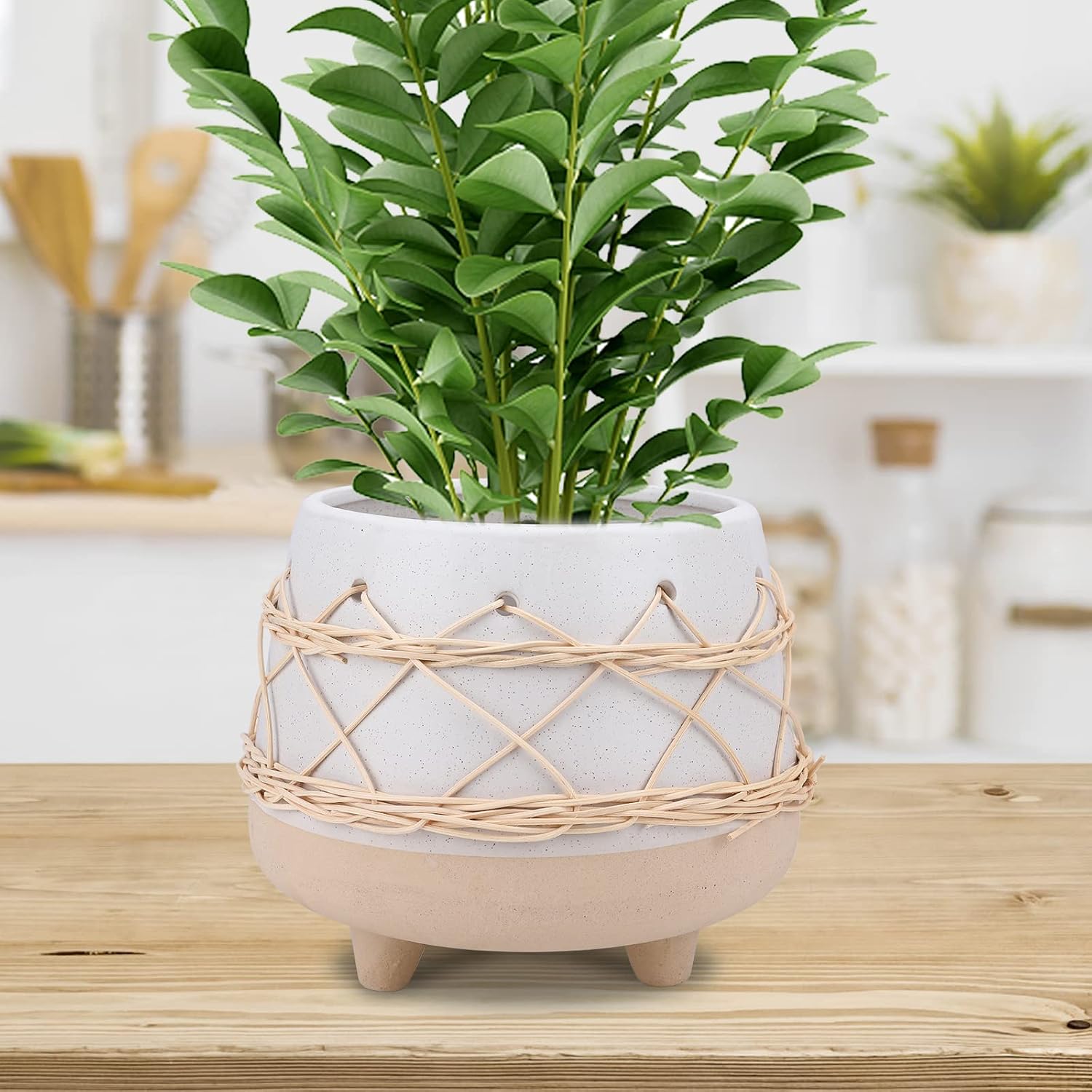 8 in Ceramic Planter Pot for Indoor & Outdoor Plant, Flower | Modern Rattan Accent Design, Mid-Century Planter with