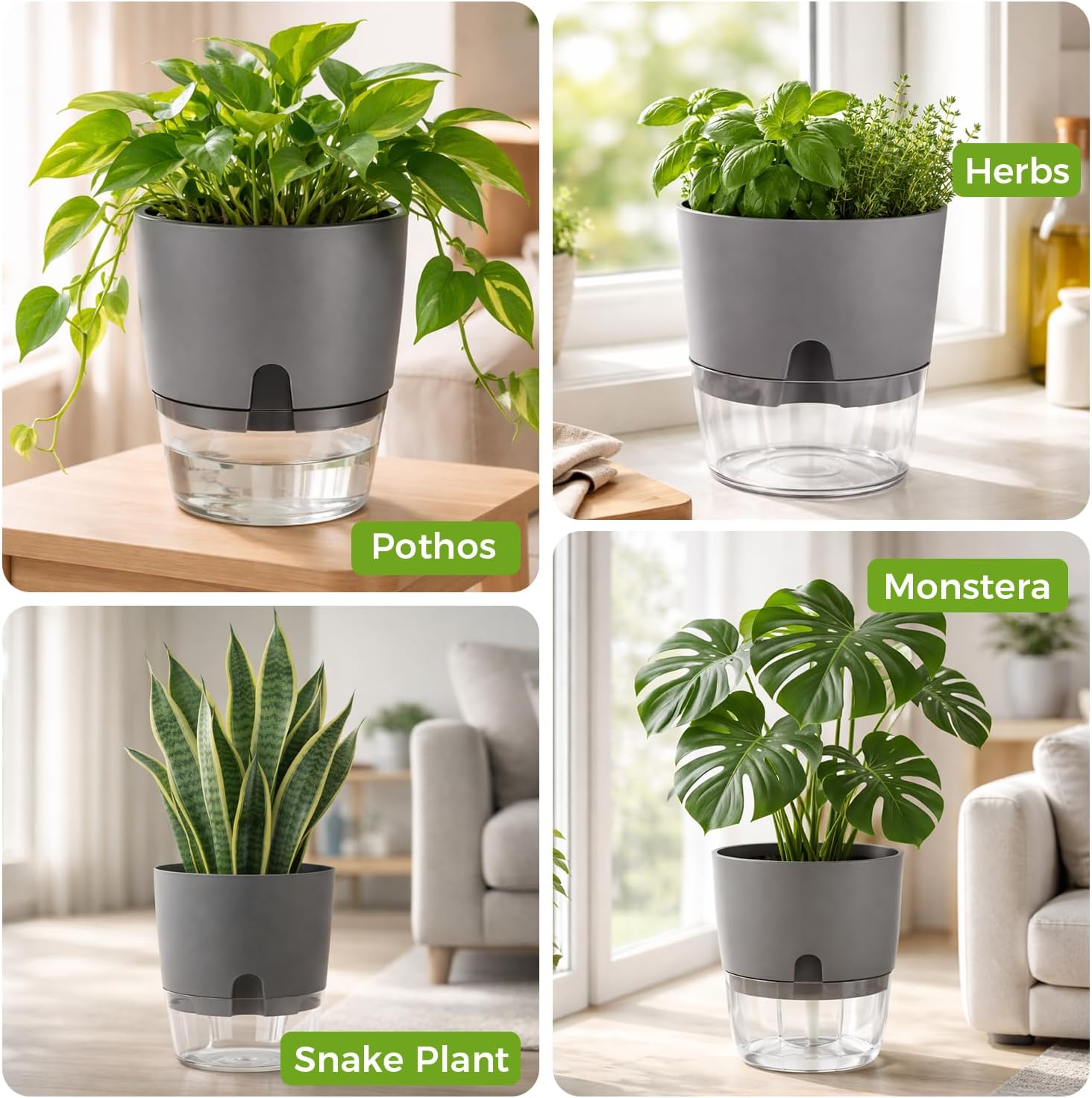 Planterhoma 5 Pack Self Watering Pots for Indoor Plants, 9 Inch Plant Pot Plastic Self Watering Planter for Orchid