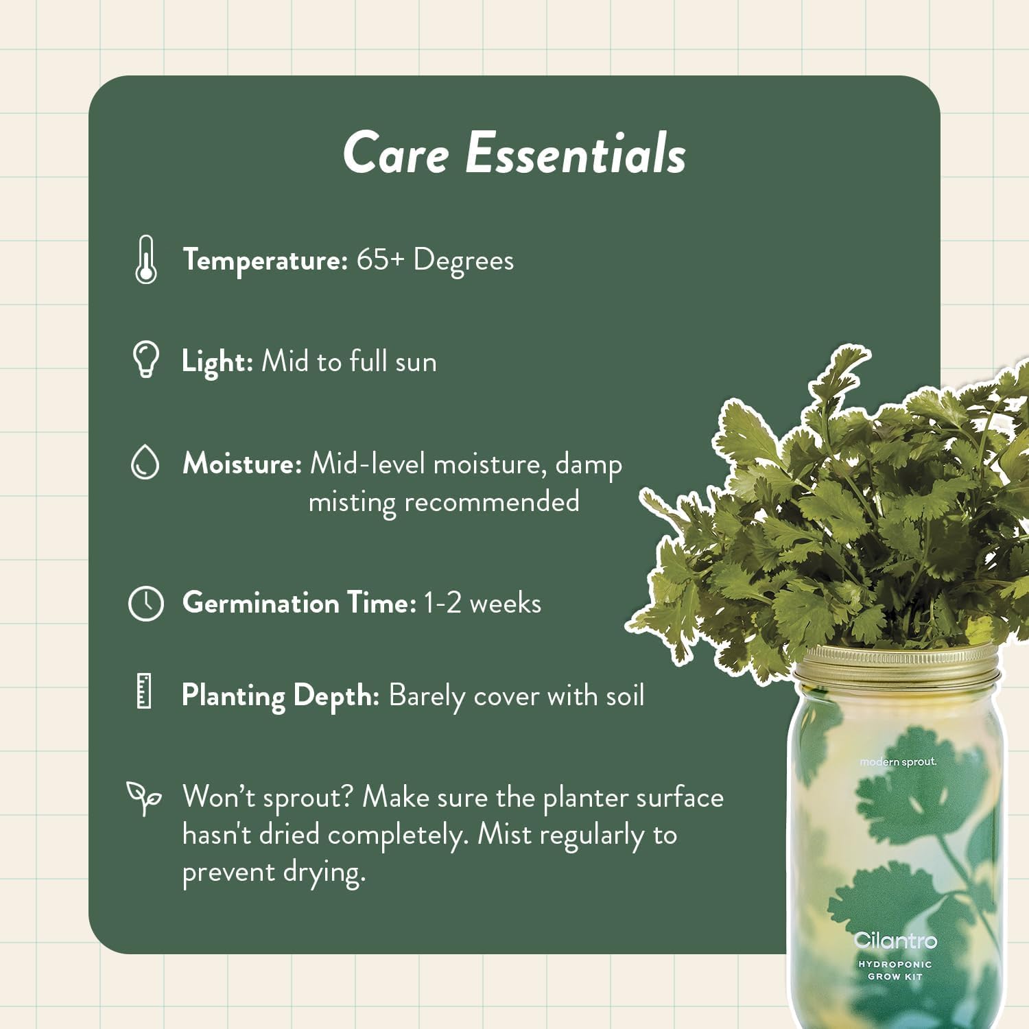 Modern Sprout MasonJar+Replant Kit-Self-Watering Hydroponic System-Cilantro | Growing System Kit w/Organic Herb Seeds