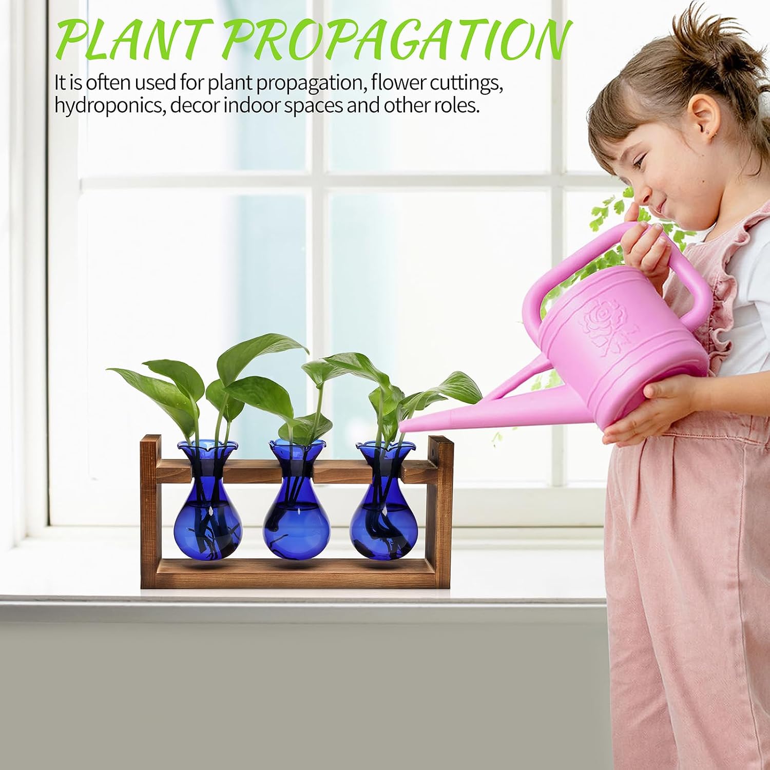 Plant Propagation Station Plant Terrarium Unique Birthday Gifts for Women | Plant Lovers Home Office Decor Planter with