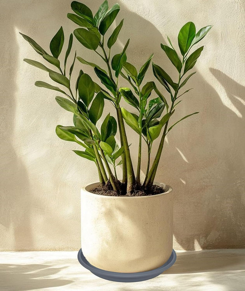 2 Pack of 19 inch Plant Saucer, Large Plant Tray, Heavy Sturdy Plant Drainage Tray for Indoors, Bird Bath Bowls, Sturdy