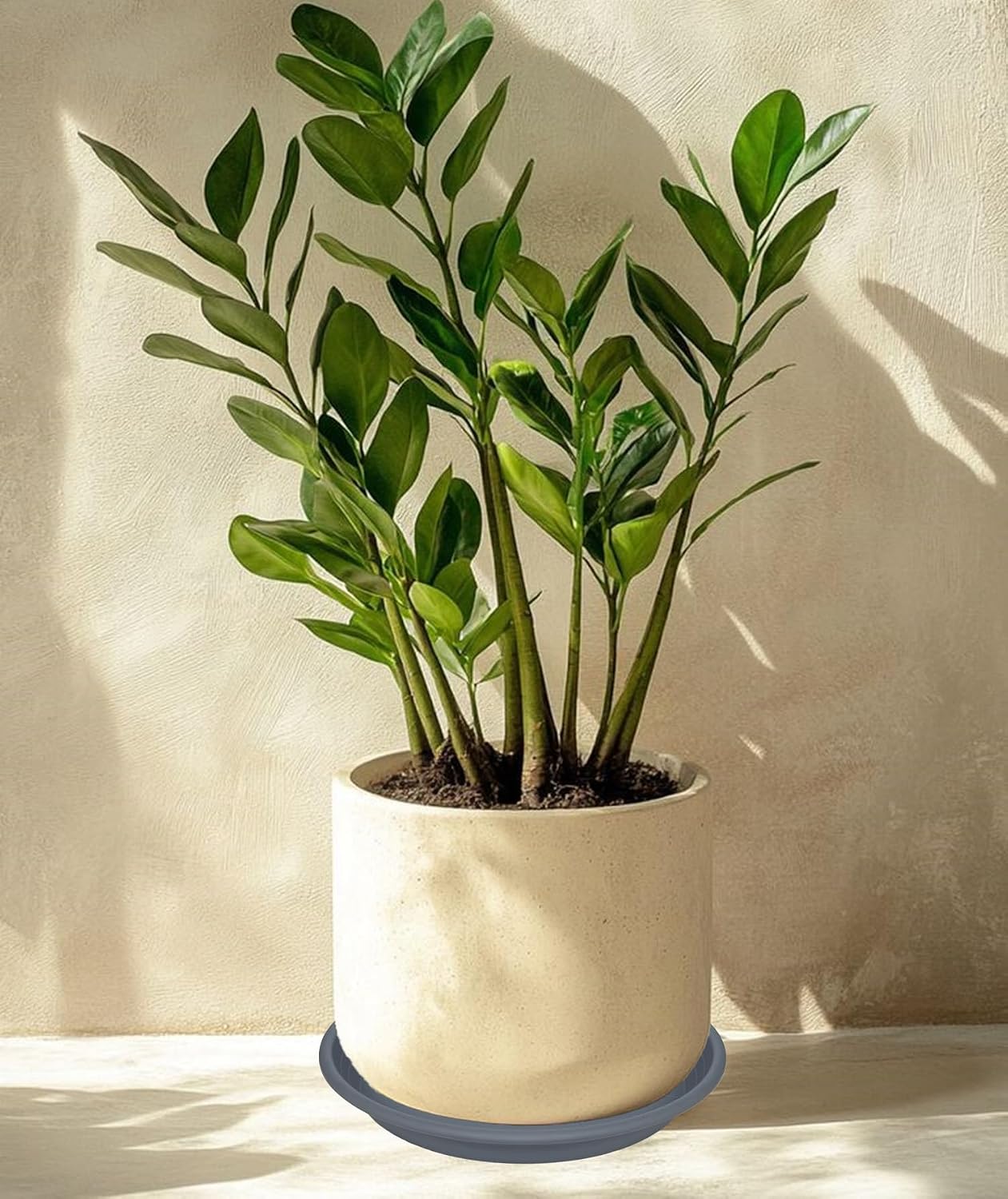 2 Pack of 19 inch Plant Saucer, Large Plant Tray, Heavy Sturdy Plant Drainage Tray for Indoors, Bird Bath Bowls, Sturdy