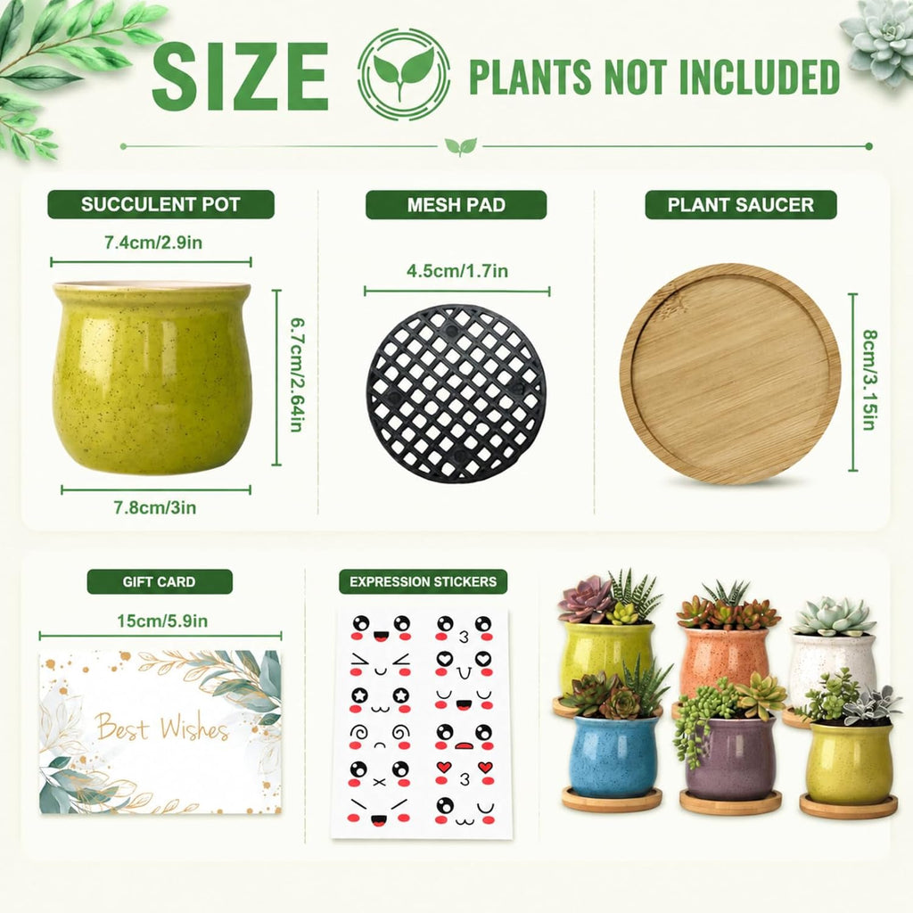 6-Pack 3 Inch Ceramic Succulent Pots with Bamboo Tray for Home Decor | Includes decorative stickers and cards creating