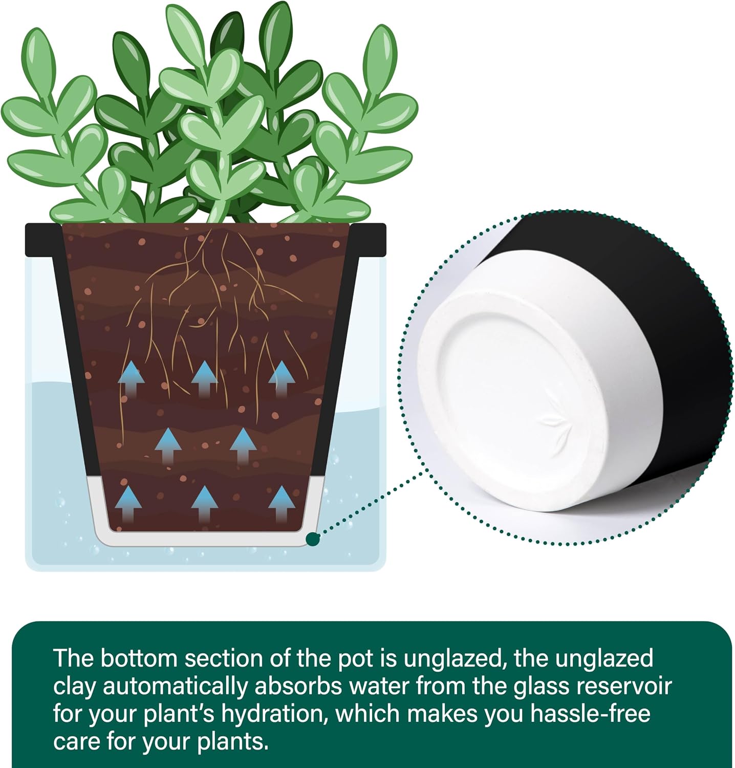 D'vine Dev Self-Watering Black Terracotta Planter, 4 in, 4-Pack, 37-Z-A-3-F | Terracotta & Glass Design, Clear Water