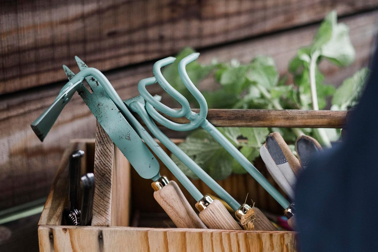 Barebones Triangle Hoe - Stainless Steel Blade Japanese Gardening Tools for Weeding Long Handle and Hand Hoe (Ash/Mint)