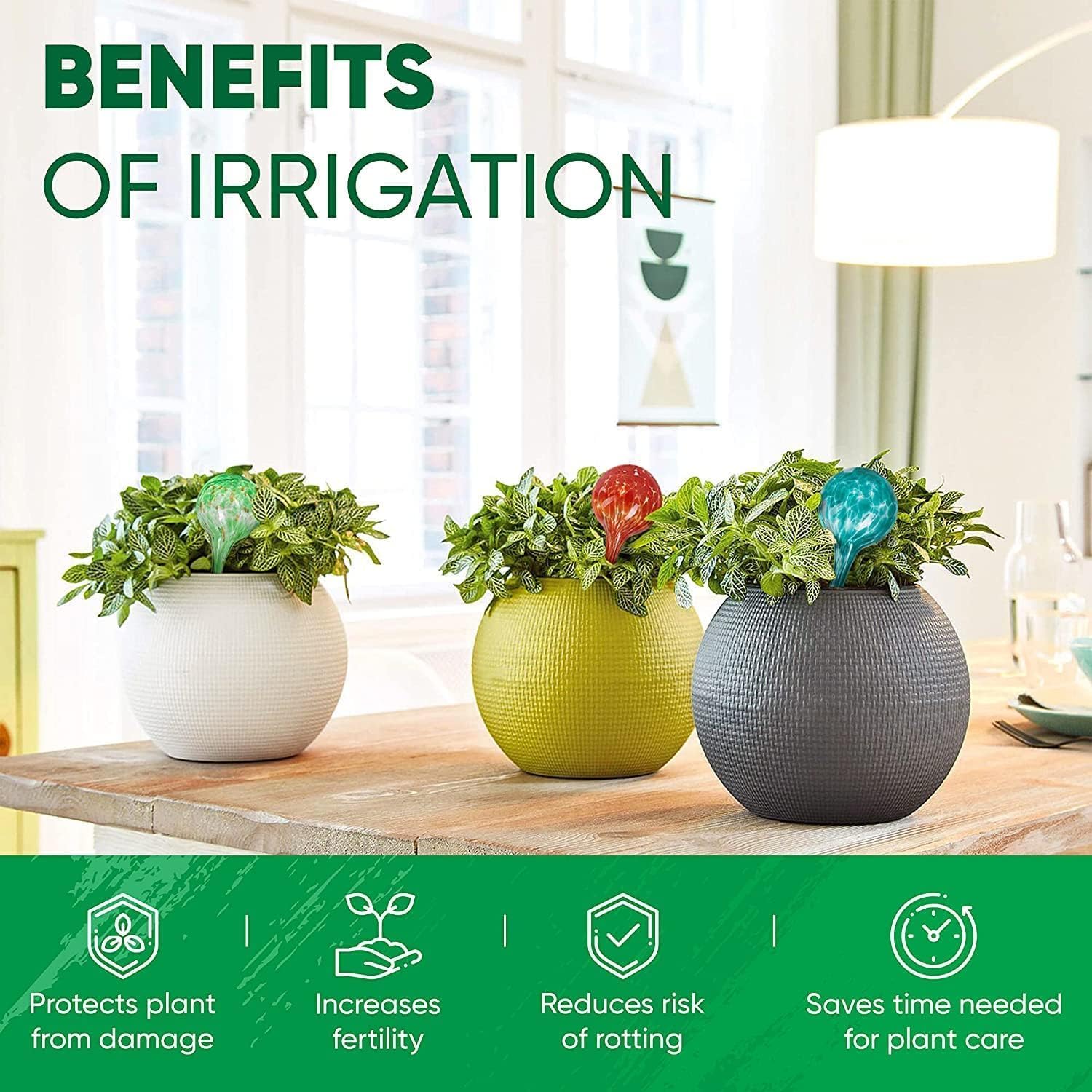Plant Watering Globes Set of 6, Small - Glass Self Watering Globes | Plant Watering Devices for Indoor & Outdoor