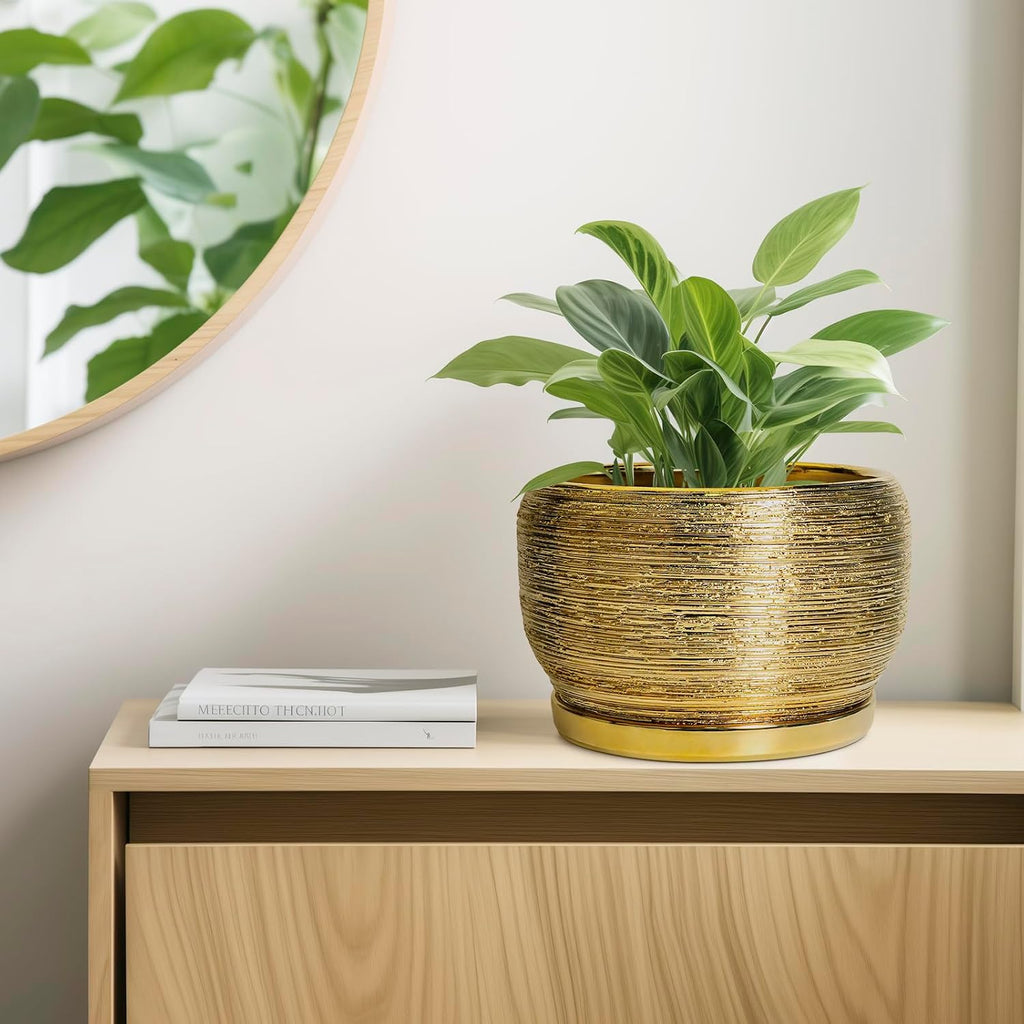 SQOWL Ceramic Planter for Indoor Plants - 10 Inch Plant Pot with Drainage Hole and Saucer, Modern Round Planter