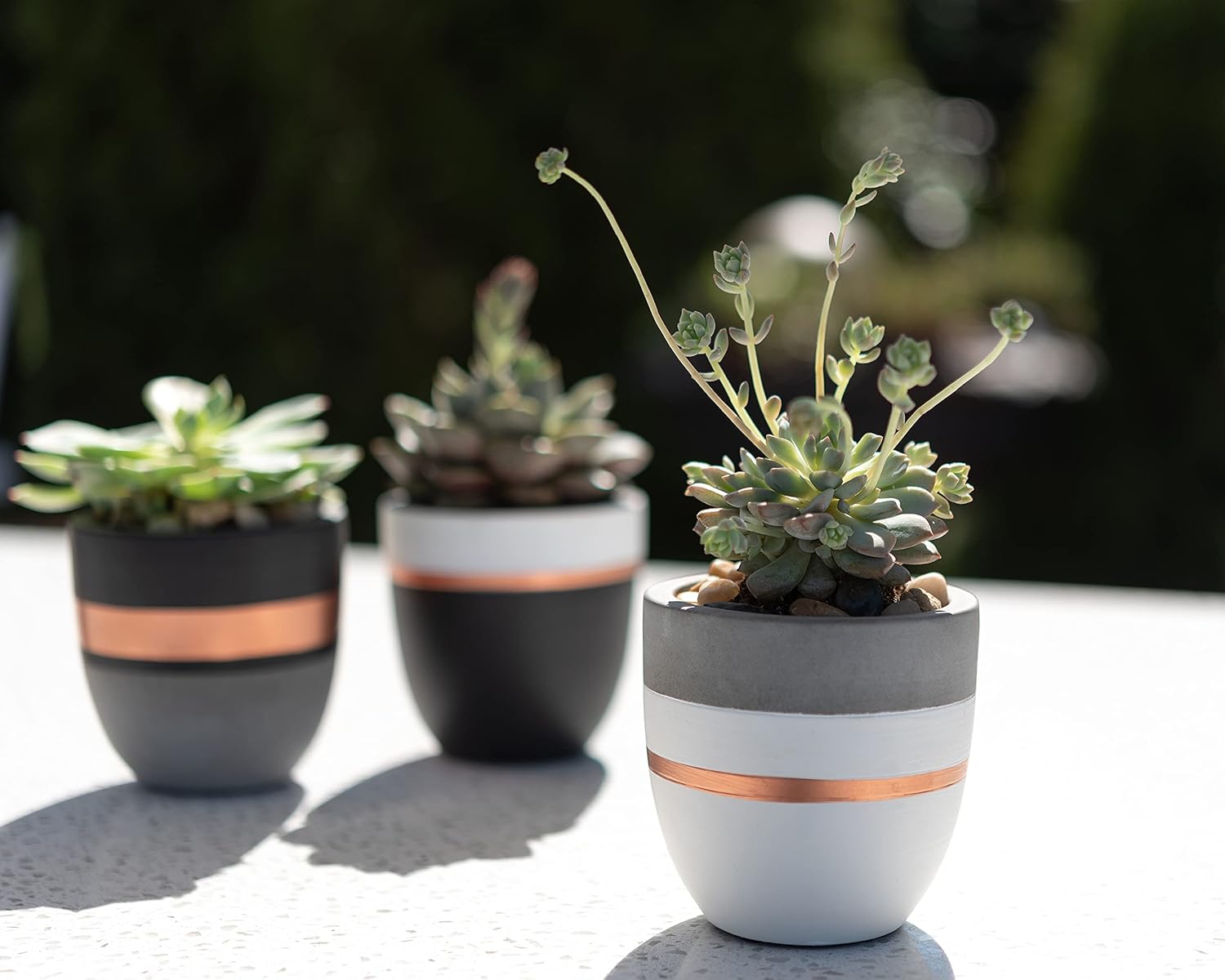 PASENITY Hand Painted Indoor Plant Pots, Set of 3 Modern Cement Succulent Pots with Drainage, Best Planters for Cactus