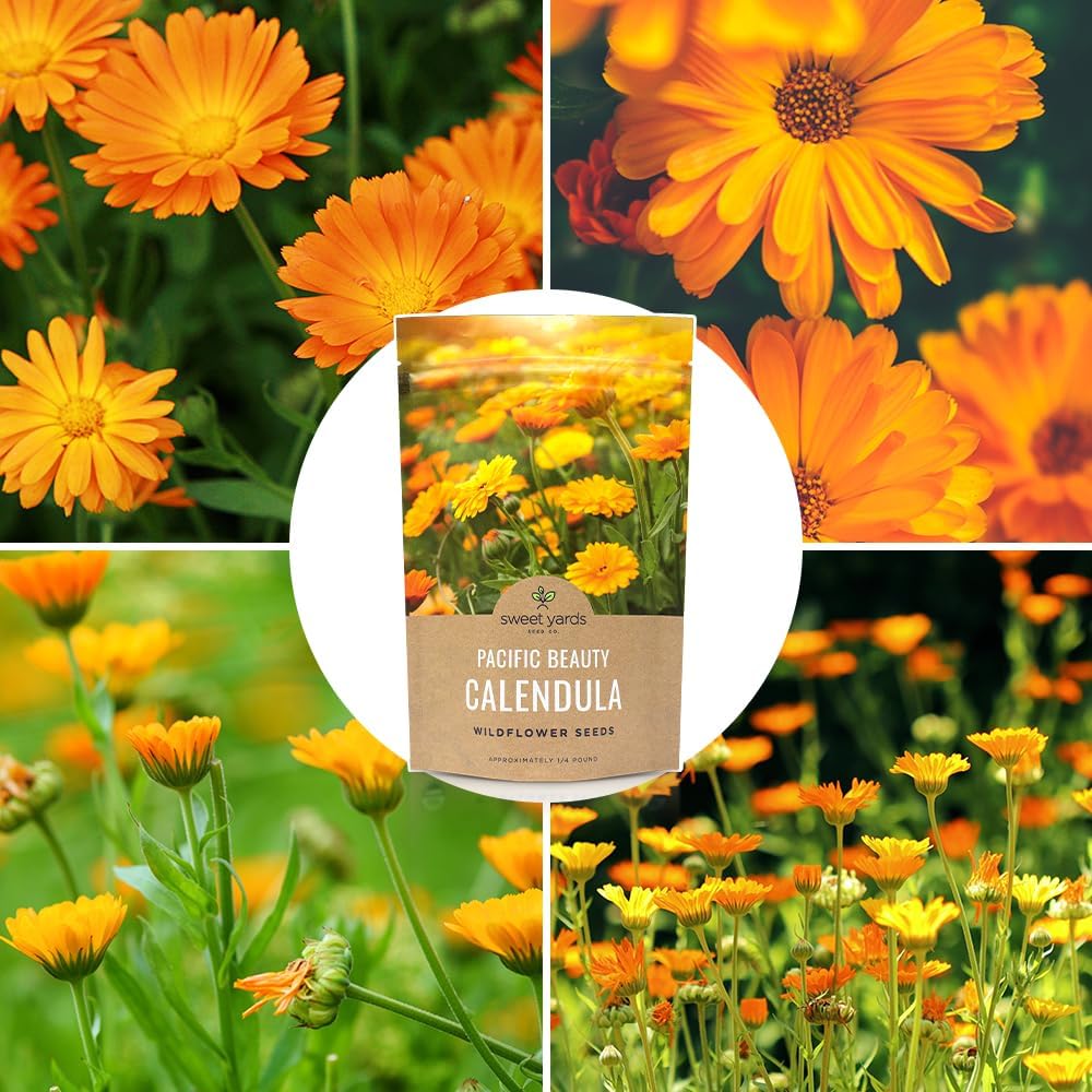 Calendula ‘Pacific Beauty Mix’ – Bulk Quarter Pound Bag – Over 12,000 Open Pollinated Non-GMO Wildflower Seeds –