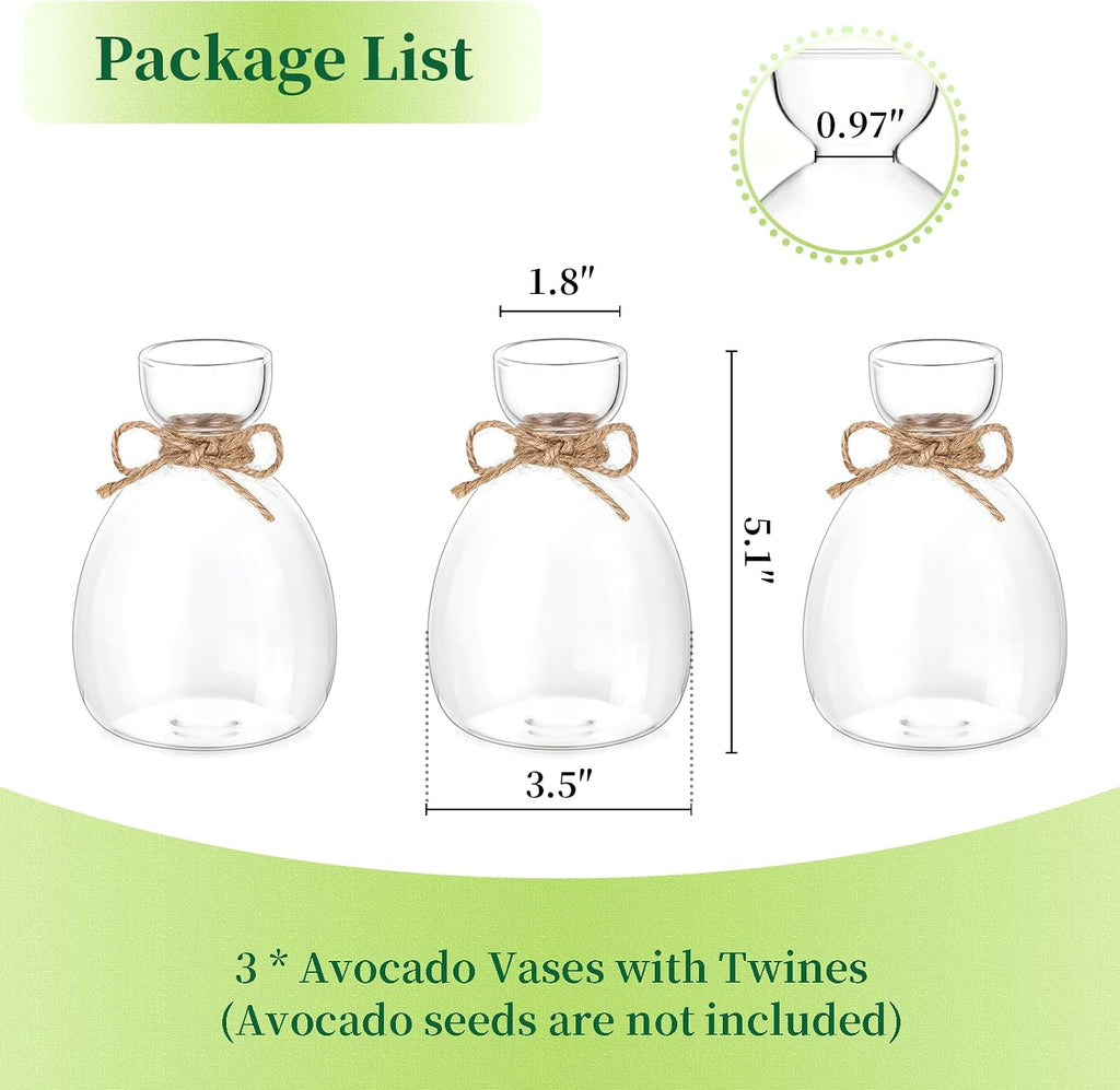 Hewory Avocado Seed Starter Vase: 3Pcs Glass Avocado Planter for Growing | Acorn Pit Sprouting Vases, Tree Pots