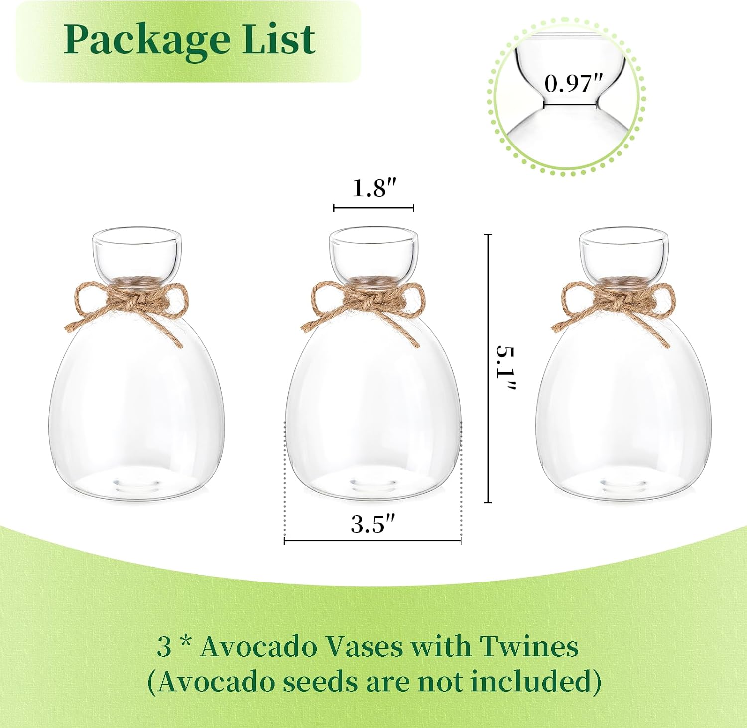 Hewory Avocado Seed Starter Vase: 3Pcs Glass Avocado Planter for Growing | Acorn Pit Sprouting Vases, Tree Pots