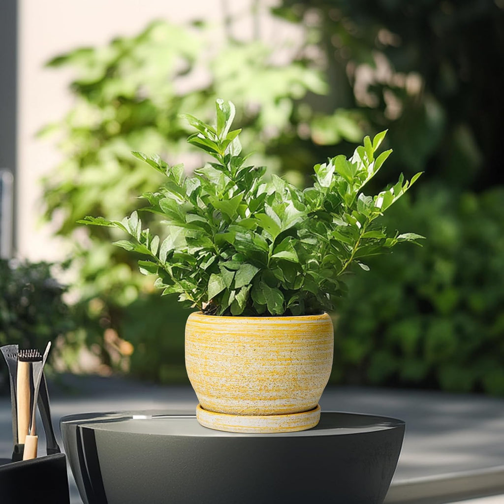 SQOWL Ceramic Planter - 6 Inch Plant Pot Indoor with Drainage Hole and Saucer, Decorative Ceramic Flower Pot Outdoor