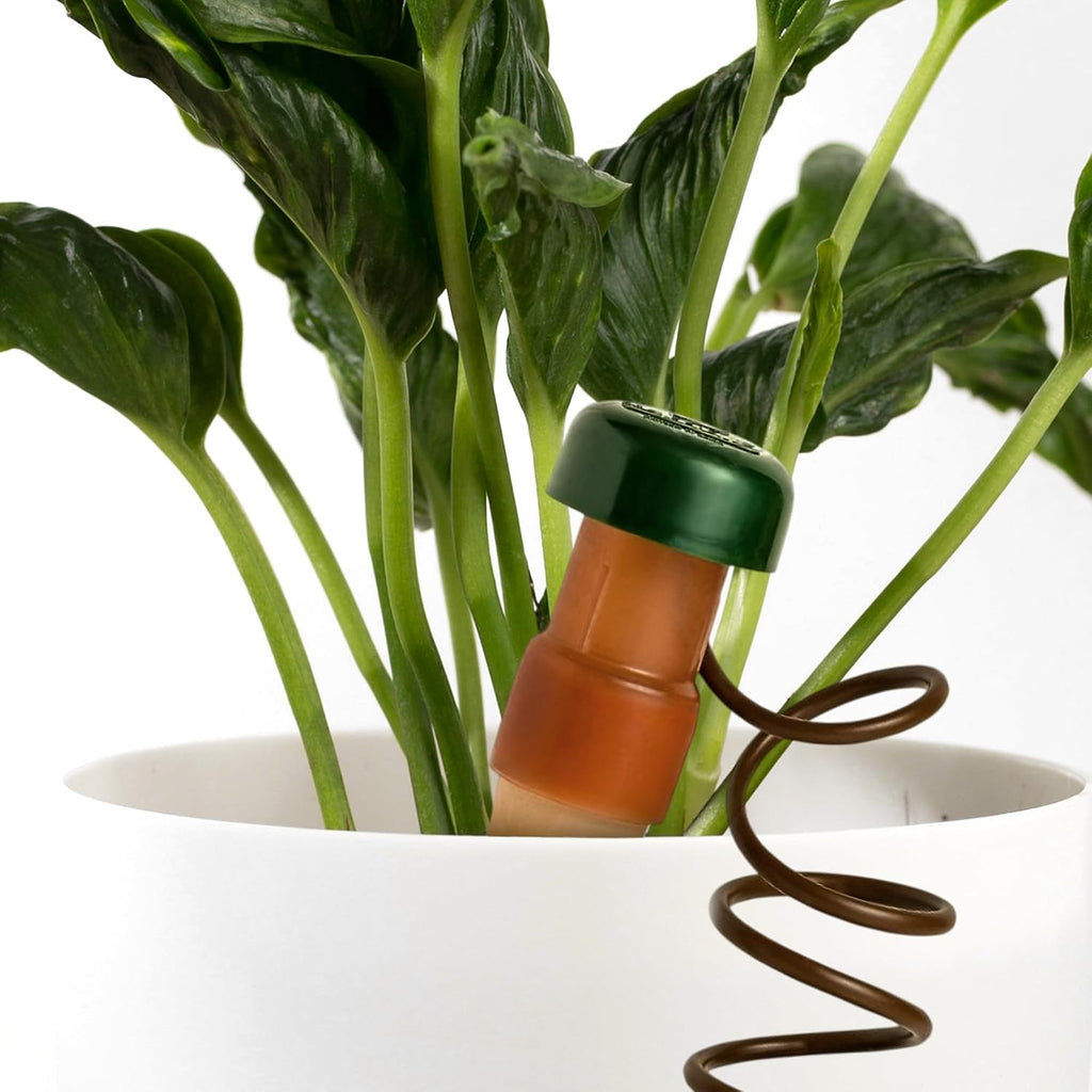 Blumat Classic Self-Watering Stakes - Prevents Overwatering and Underwatering for Healthy Growth While You are Away