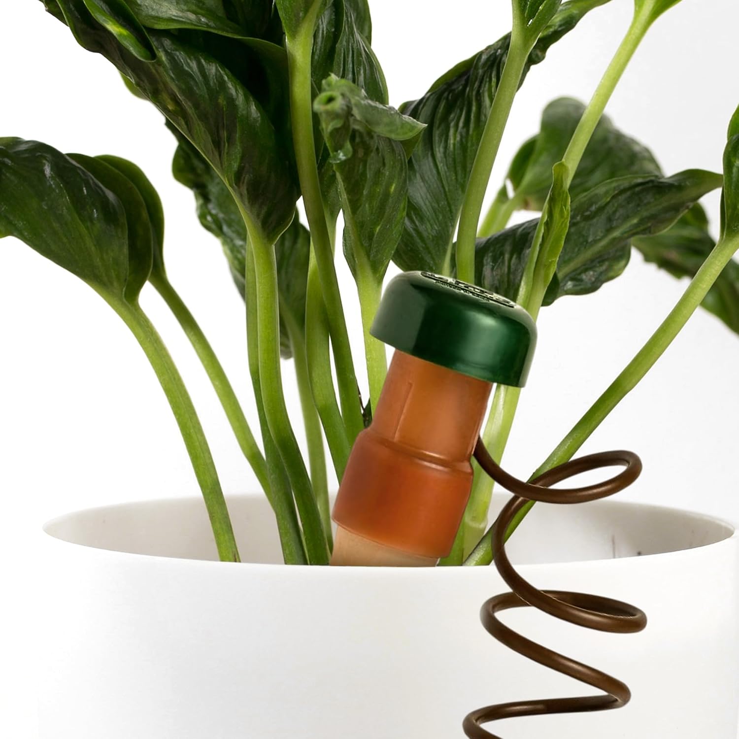 Blumat Classic Self-Watering Stakes - Prevents Overwatering and Underwatering for Healthy Growth While You are Away