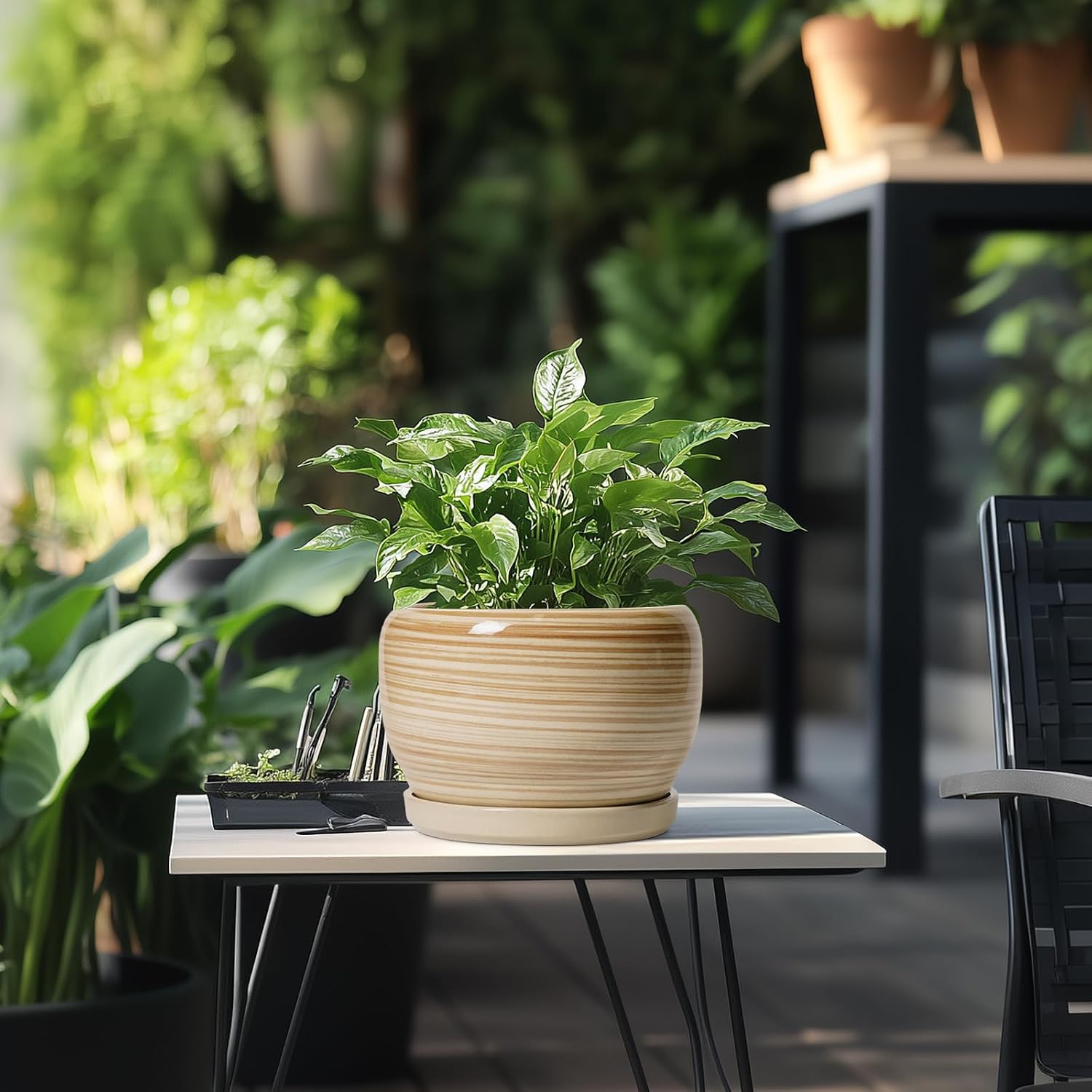 SQOWL Ceramic Planter- 8 Inch Plant Pot Indoor Outdoor, Round Planter with Drainage Hole and Plant Saucer, Decorative