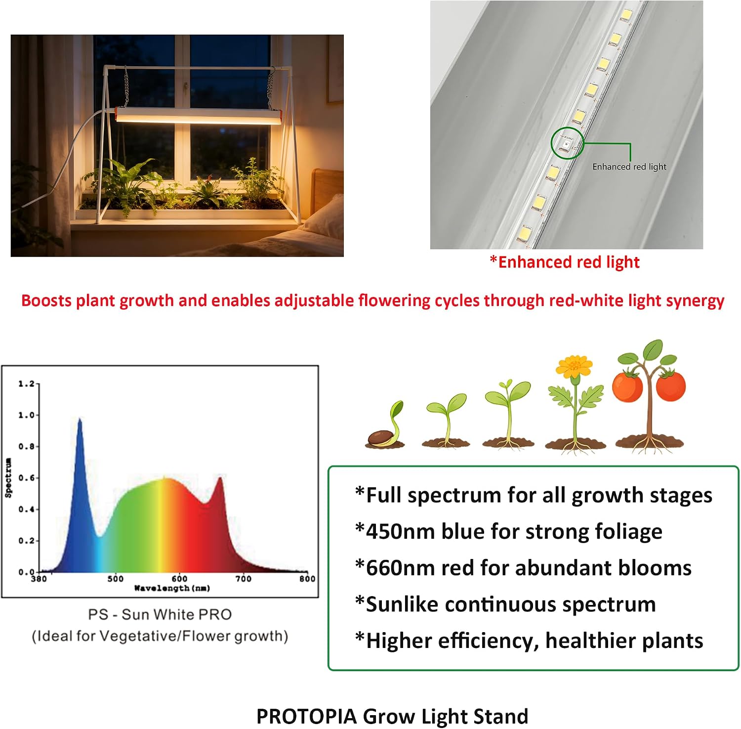 10W Grow Light Stand Kit for Indoor Plants, 2ft Plant Grow Rack with Full Spectrum, Enhanced Red Light for Flowering