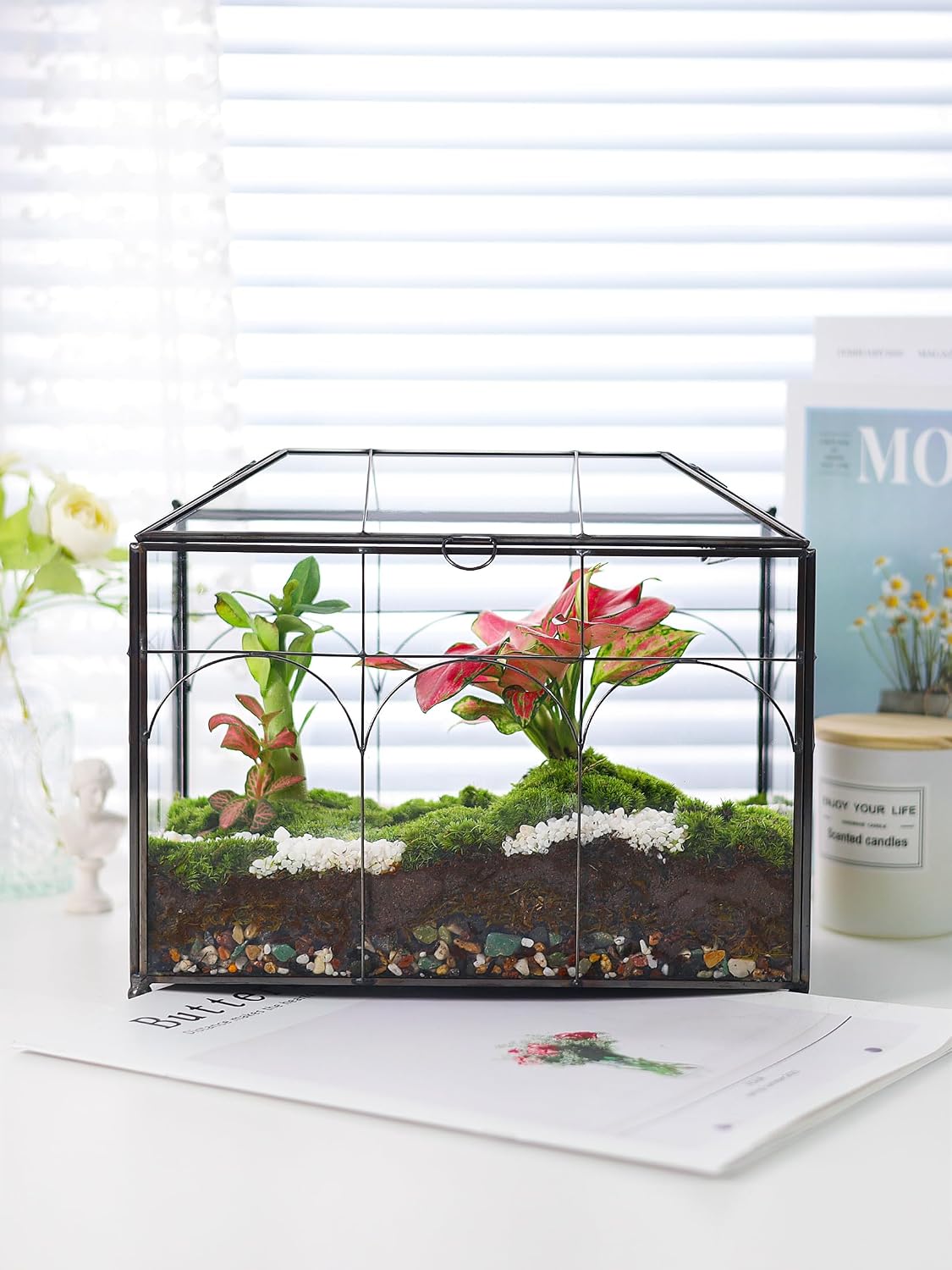 REDHUGO Glass Planter Terrarium with Lid, Indoor Display Box, Black | Handmade Glass Terrarium with Lid for Succulents