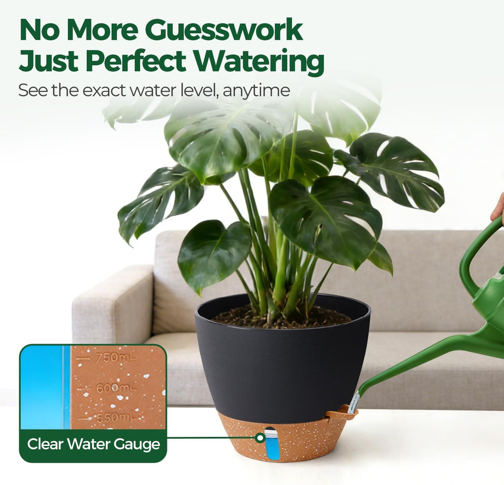 T4U Self Watering Pots for Indoor Plants, 10 Inch, 2 Pack, Black | Visible water level window, Monstera pothos and ZZ