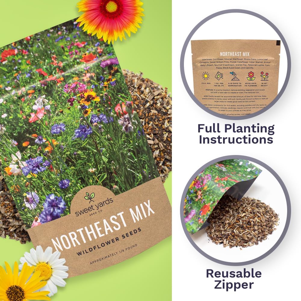 Northeast Wildflower Seed Regional Mixes - Bulk 1/4 Pound Bag - Over 30,000 Native Seeds - Open Pollinated and Non GMO