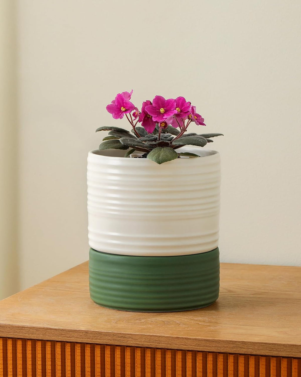 Fayoula Self Watering Pots for Indoor Plants, 6 Inch Ceramic Self Watering Plant Pot, Planter Pot with Wick Rope and