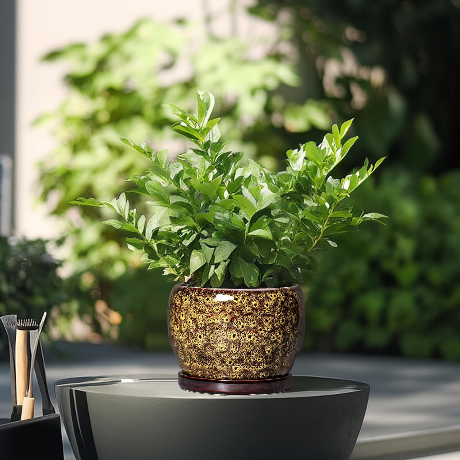 SQOWL 6 Inch Plant Pot - Ceramic Flower Pots with Drainage Hole and Saucer, Ceramic Planter for Indoor Plants Outdoor