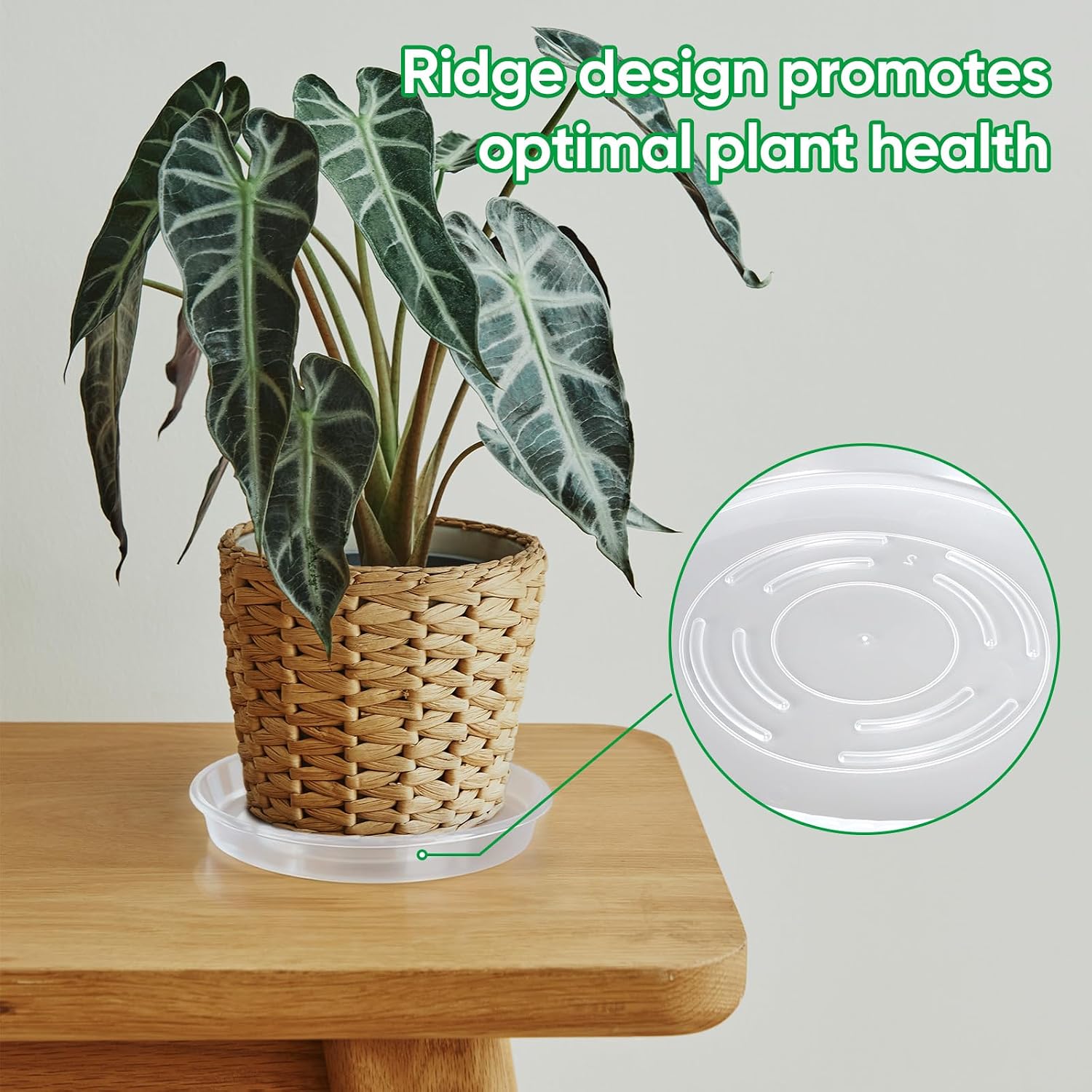 25 Pack Plant Saucer Tray, 6/8 / 10/12 /14 inch Heavy Duty Flower Pot Trays, Plastic Plant Saucer for Indoor & Outdoor