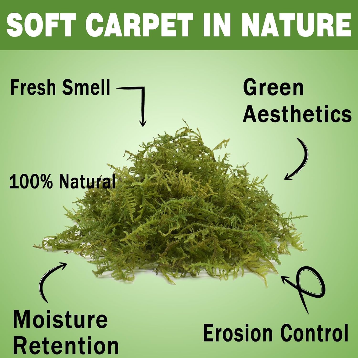 Sphagnum Moss 4.4 LB Long Fiber Green Forest Moss | Ideal for Repotting Orchids, Succulents, and Indoor Plants. Natural