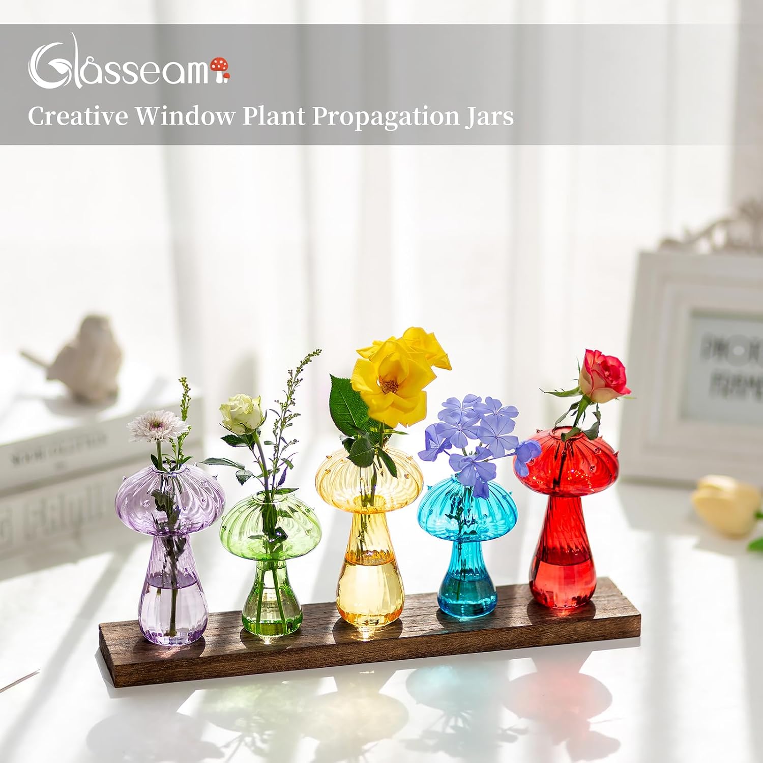 Glasseam Mushroom Propagation Station, Glass Plant Terrarium Jars with Tray | Colorful Small Hydroponic Planter, Pothos